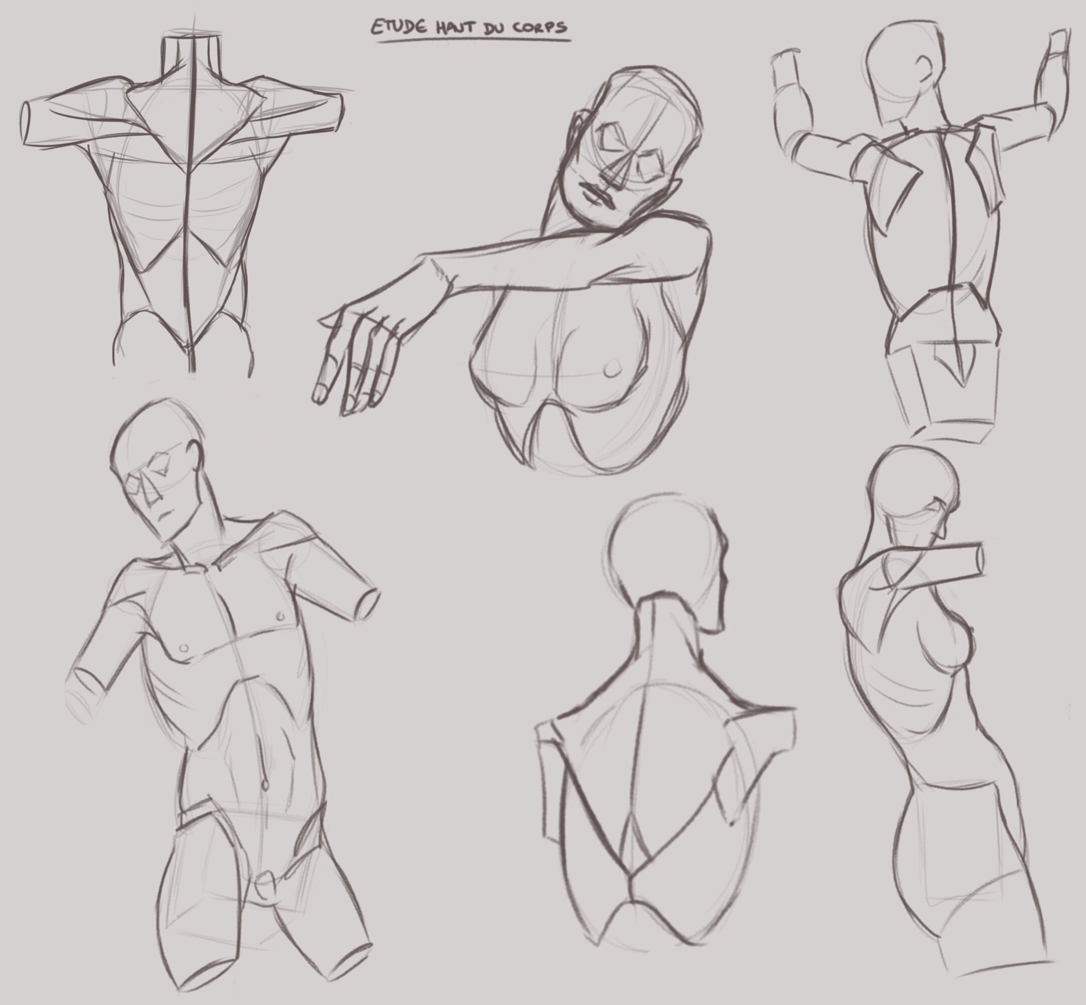 Etudescorps.thumb.jpg.6c8c86f10b24aa7323a1ce239f2c4b6d.jpg