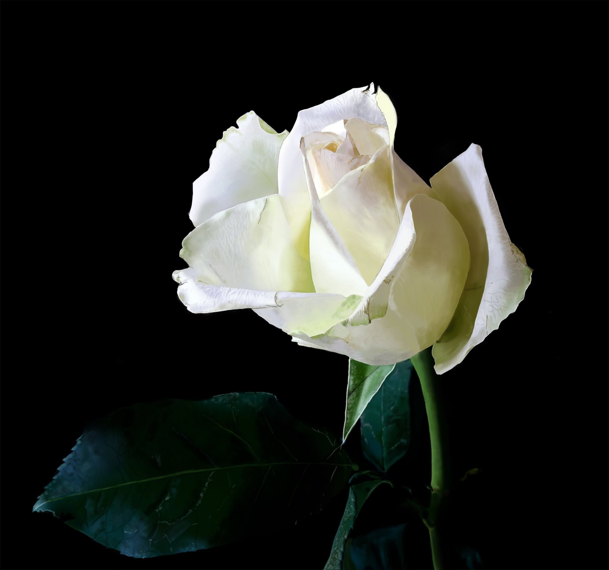 Exercice 3 rose 2@1,25x.jpg