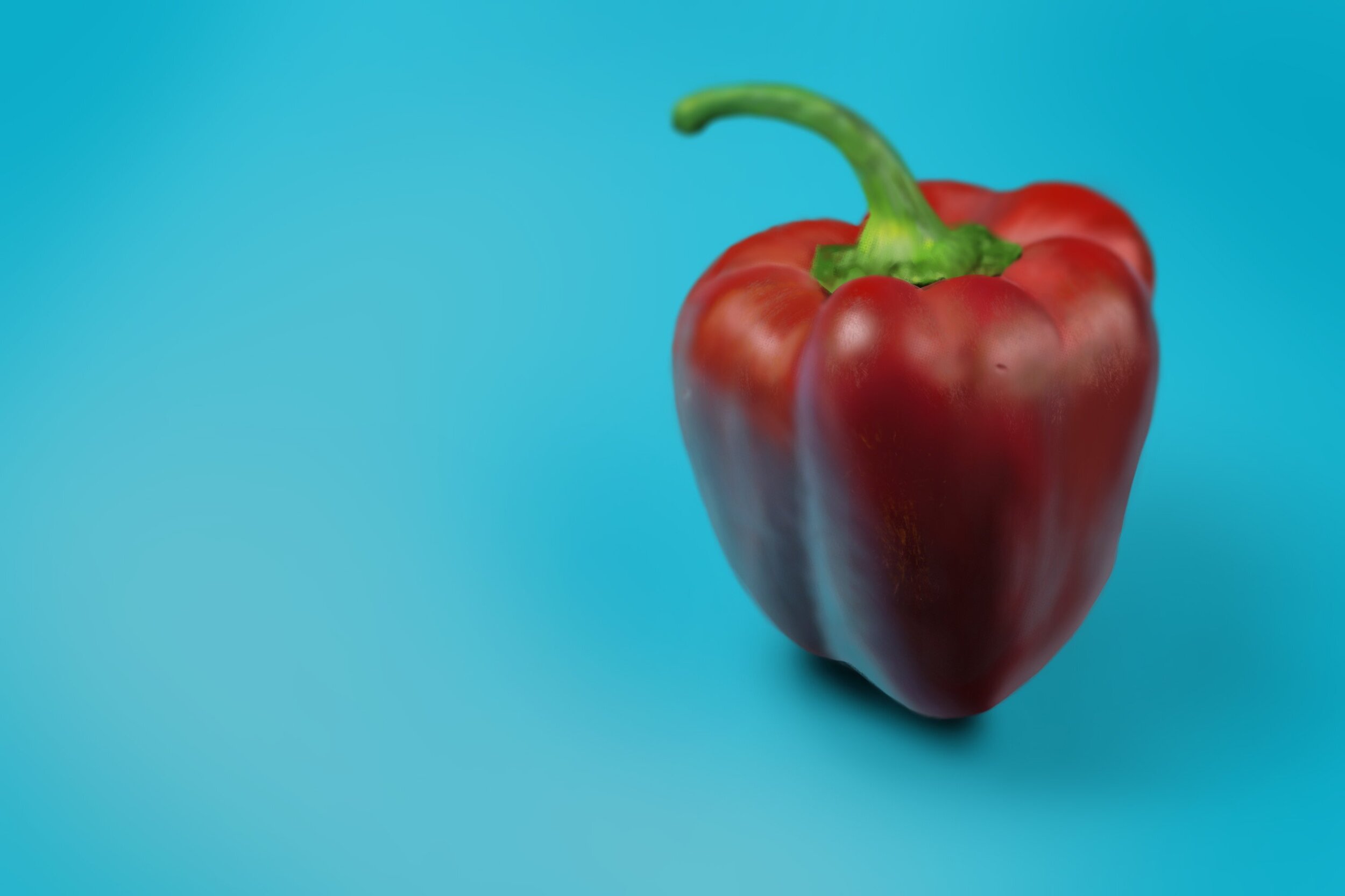 Exercice4-etude-photo1 03.2024.jpg