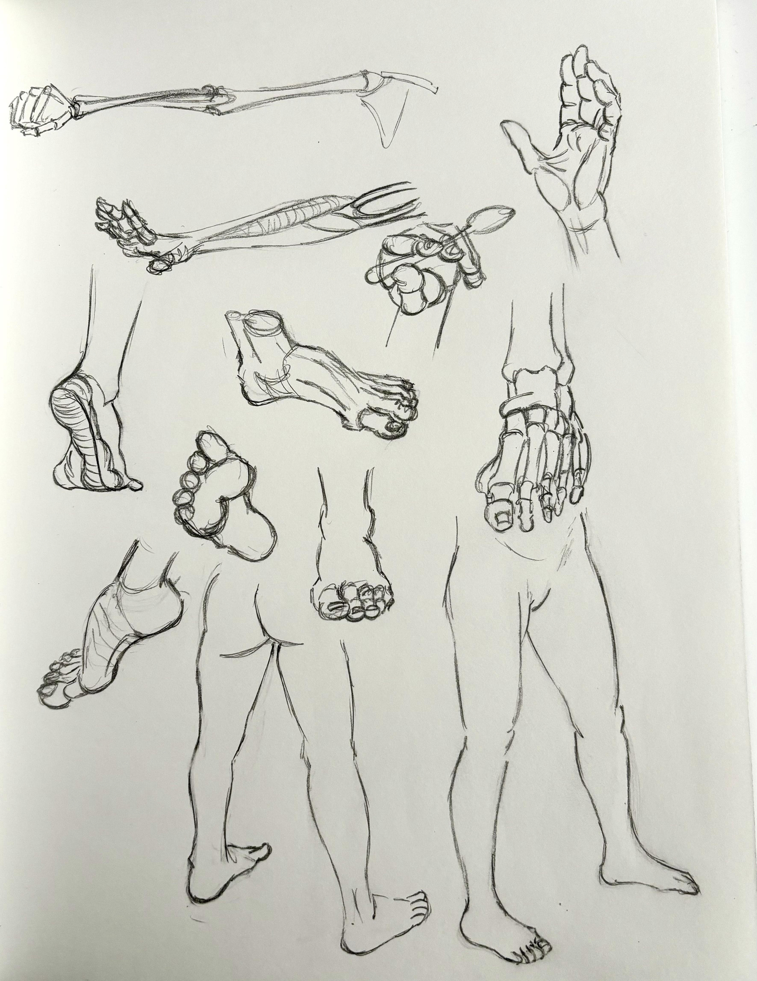 IMG_0014 copie 3.jpg