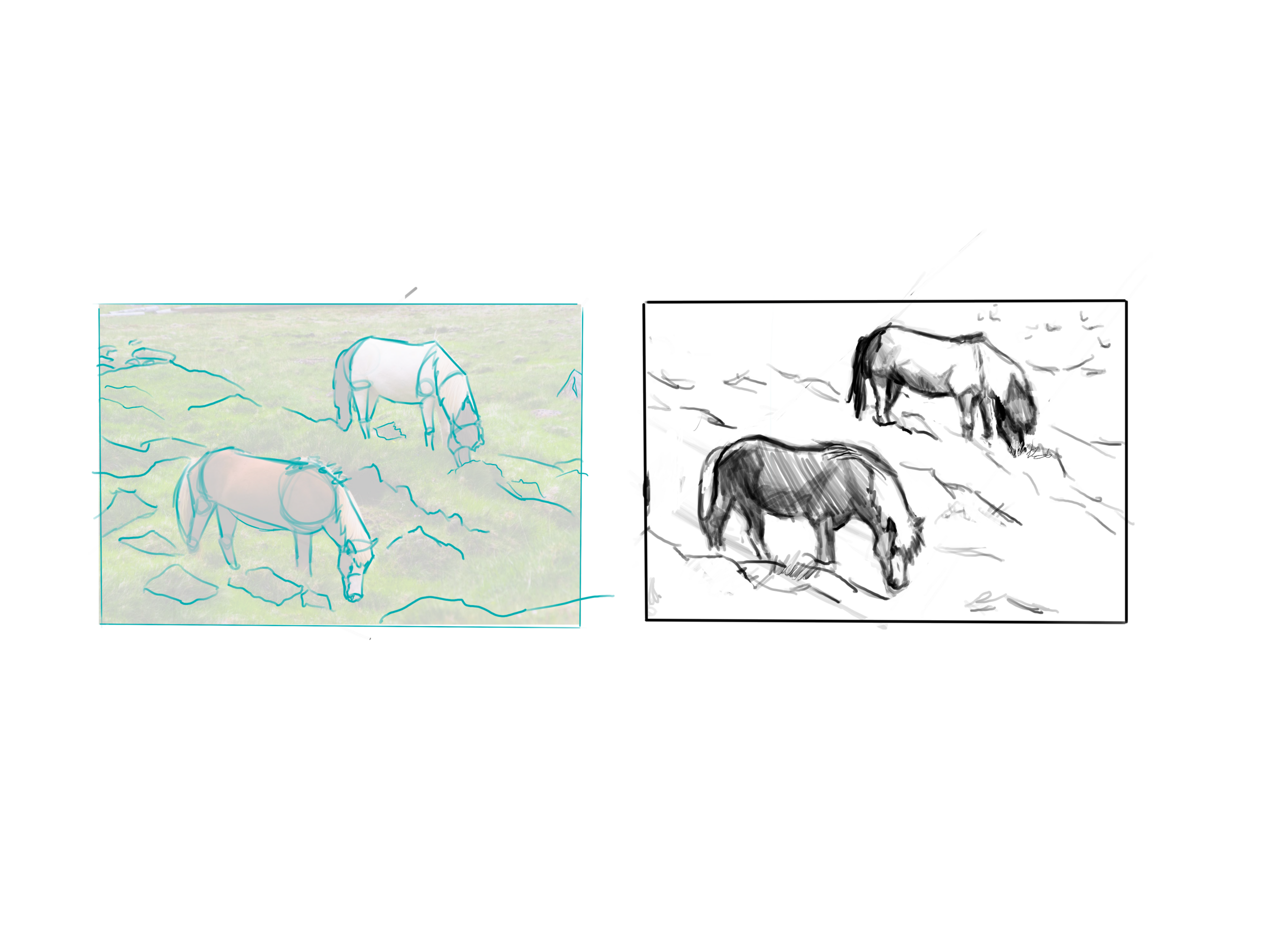 Illustration_sans_titre (8).png