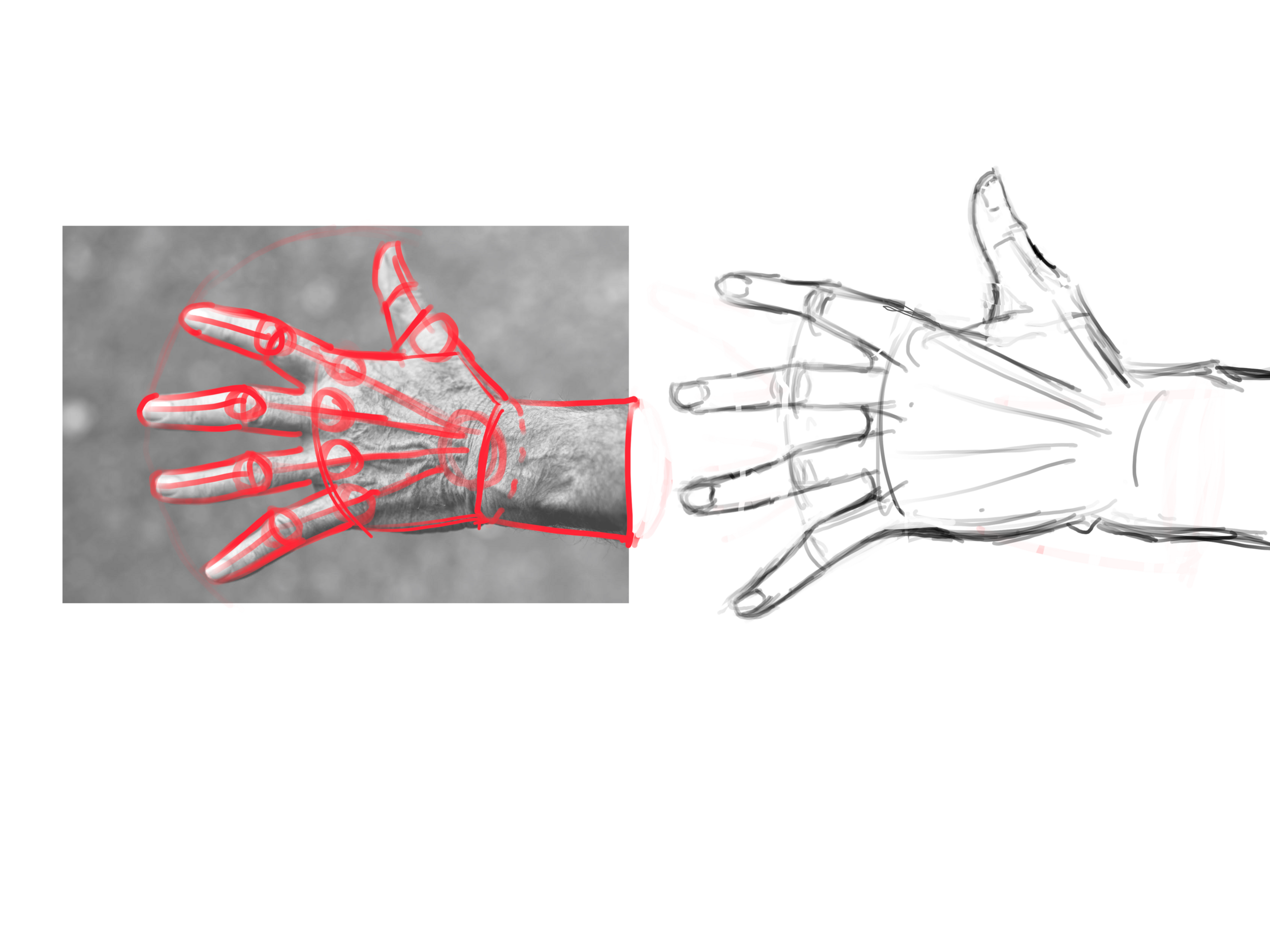 Illustration_sans_titre (9).png