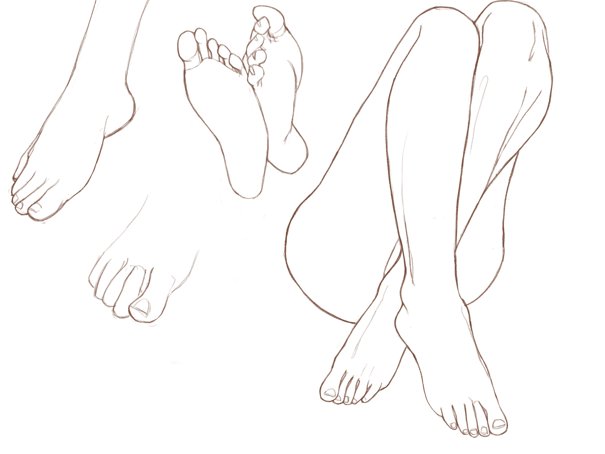 Pieds.thumb.png.b1419112dae0dd5b4a4e94569cce48b2.png