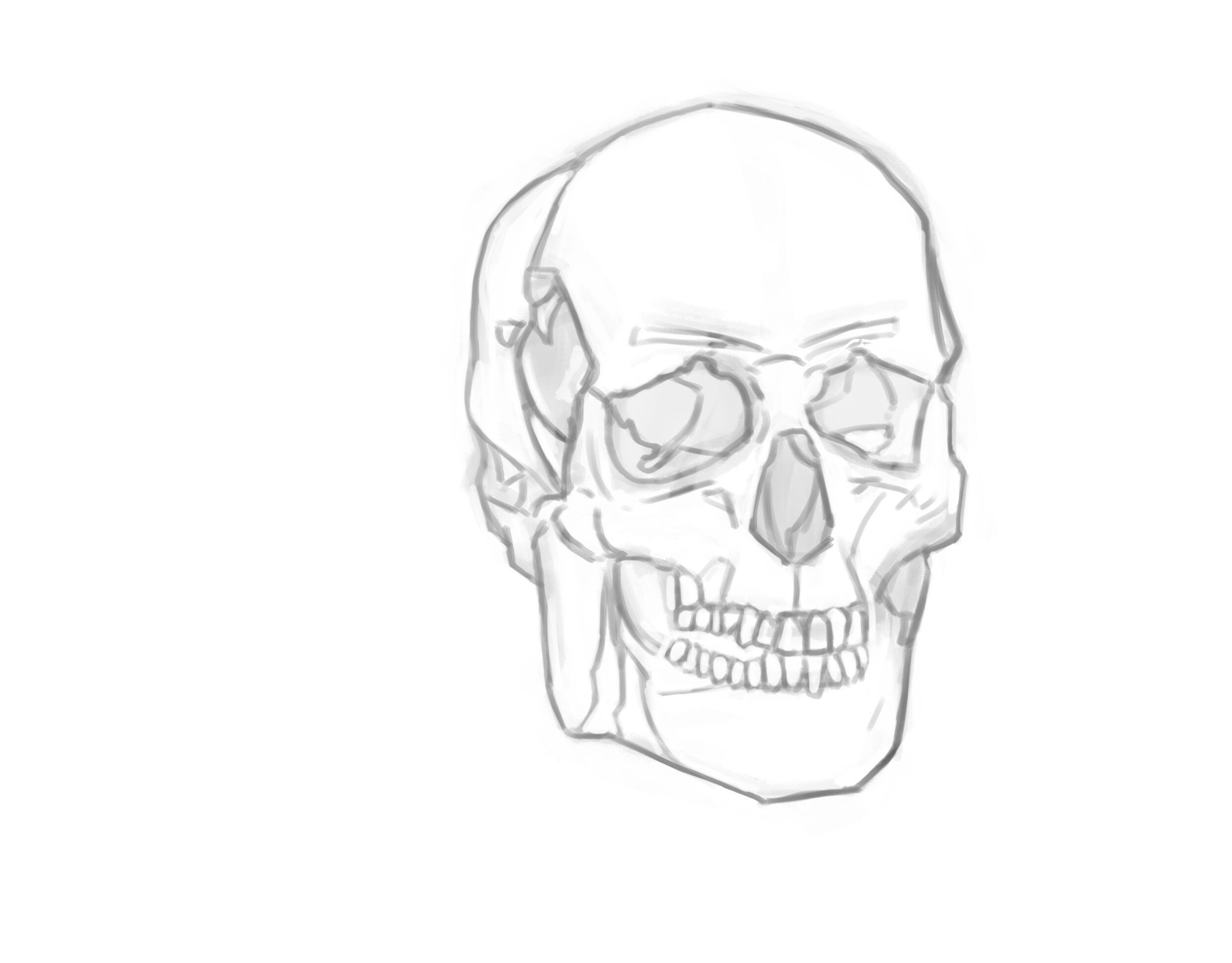 croquis crane étape2 .jpg