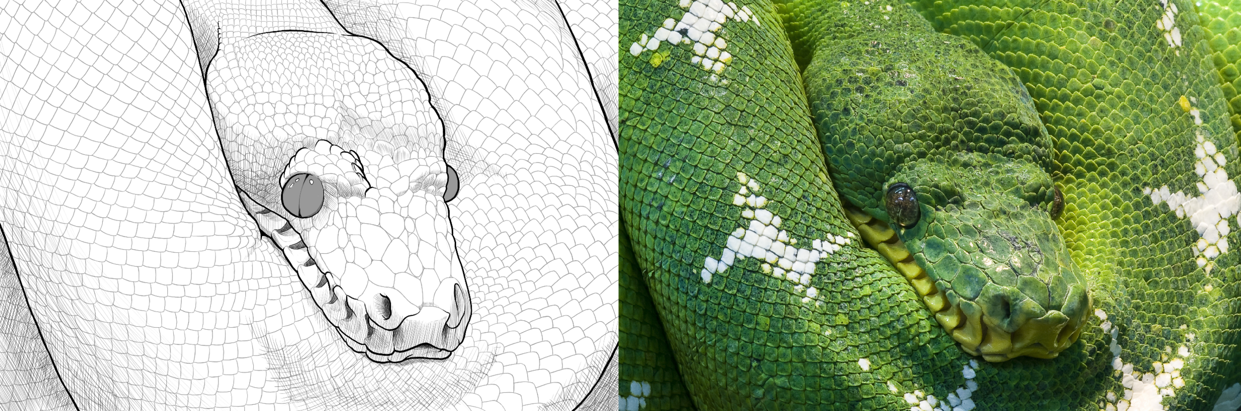 Chapitre 2 exercice 5.4.png