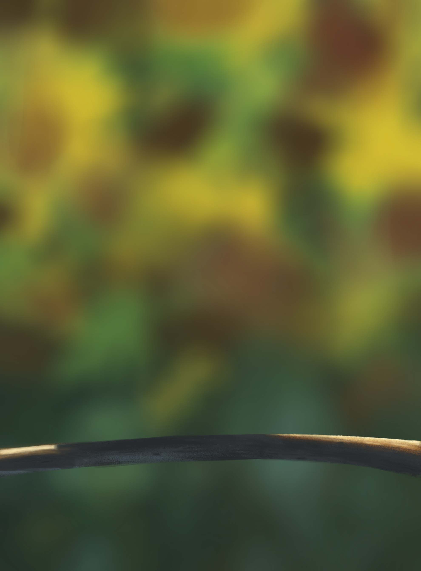 DPS Prog-1-1-Exercice5-Oiseau-Commencement 23-05-24 correction.jpg