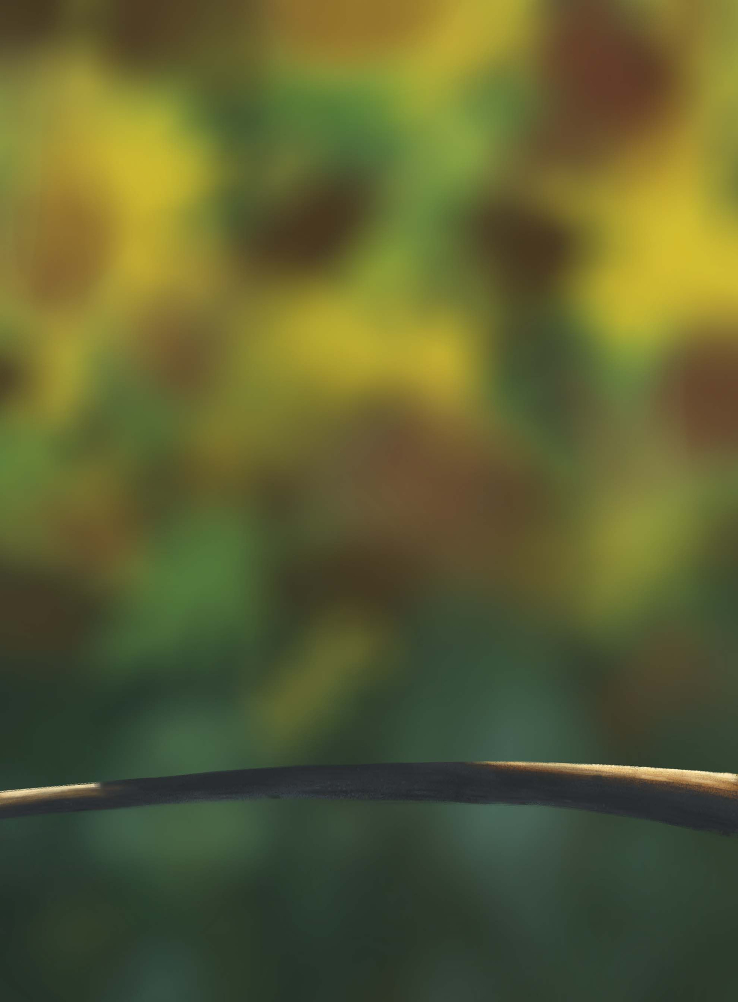 DPS Prog-1-1-Exercice5-Oiseau-Commencement 24-05-24.jpg