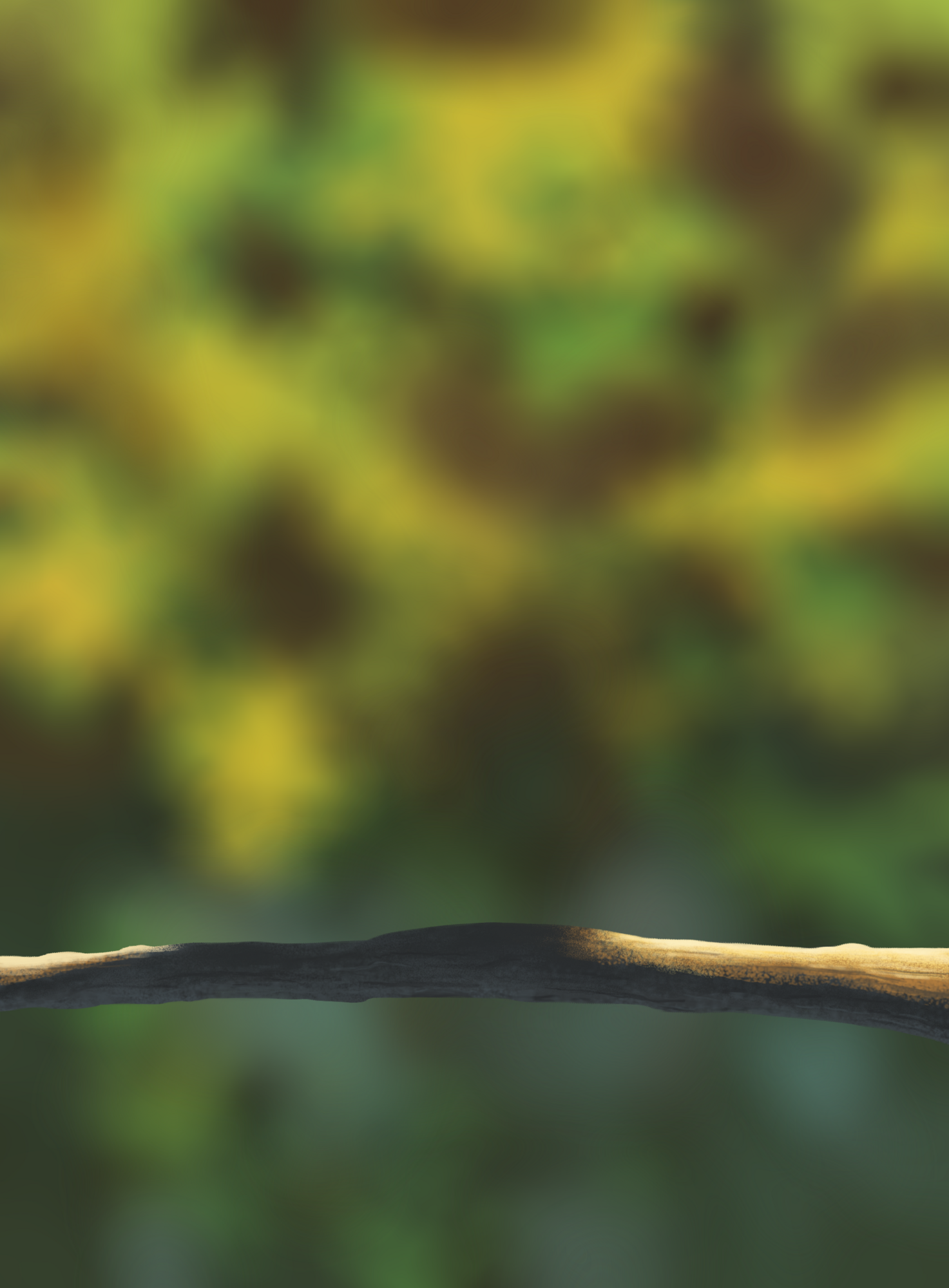 DPS Prog-1-1-Exercice5-Oiseau-Commencement3.png