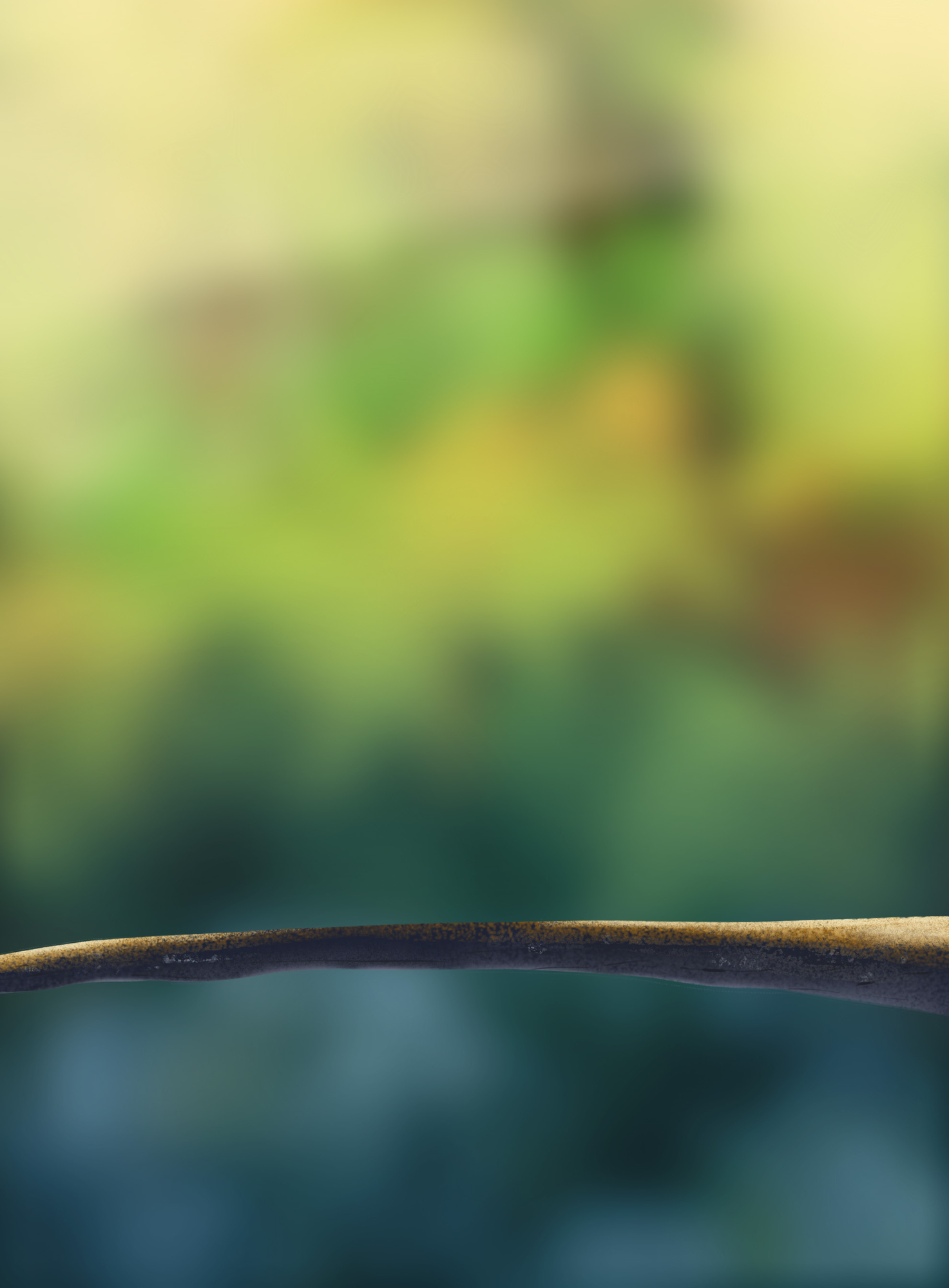 DPS Prog-1-1-Exercice5-Oiseau-Etape1.jpg