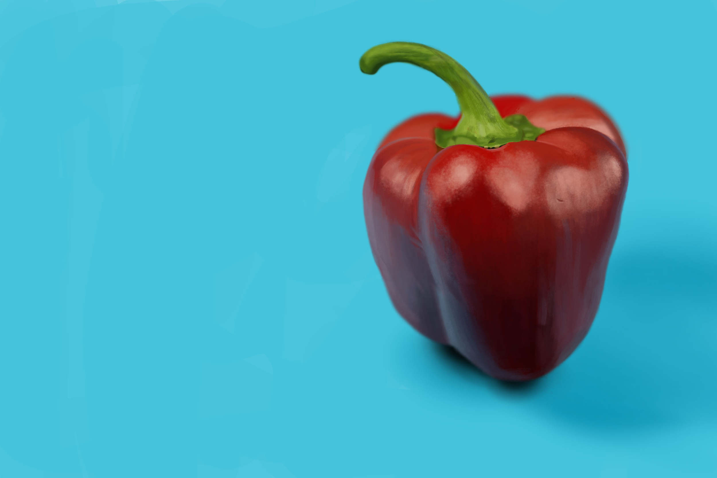 Exercice4-etude-photo1 - flattened 2.jpg