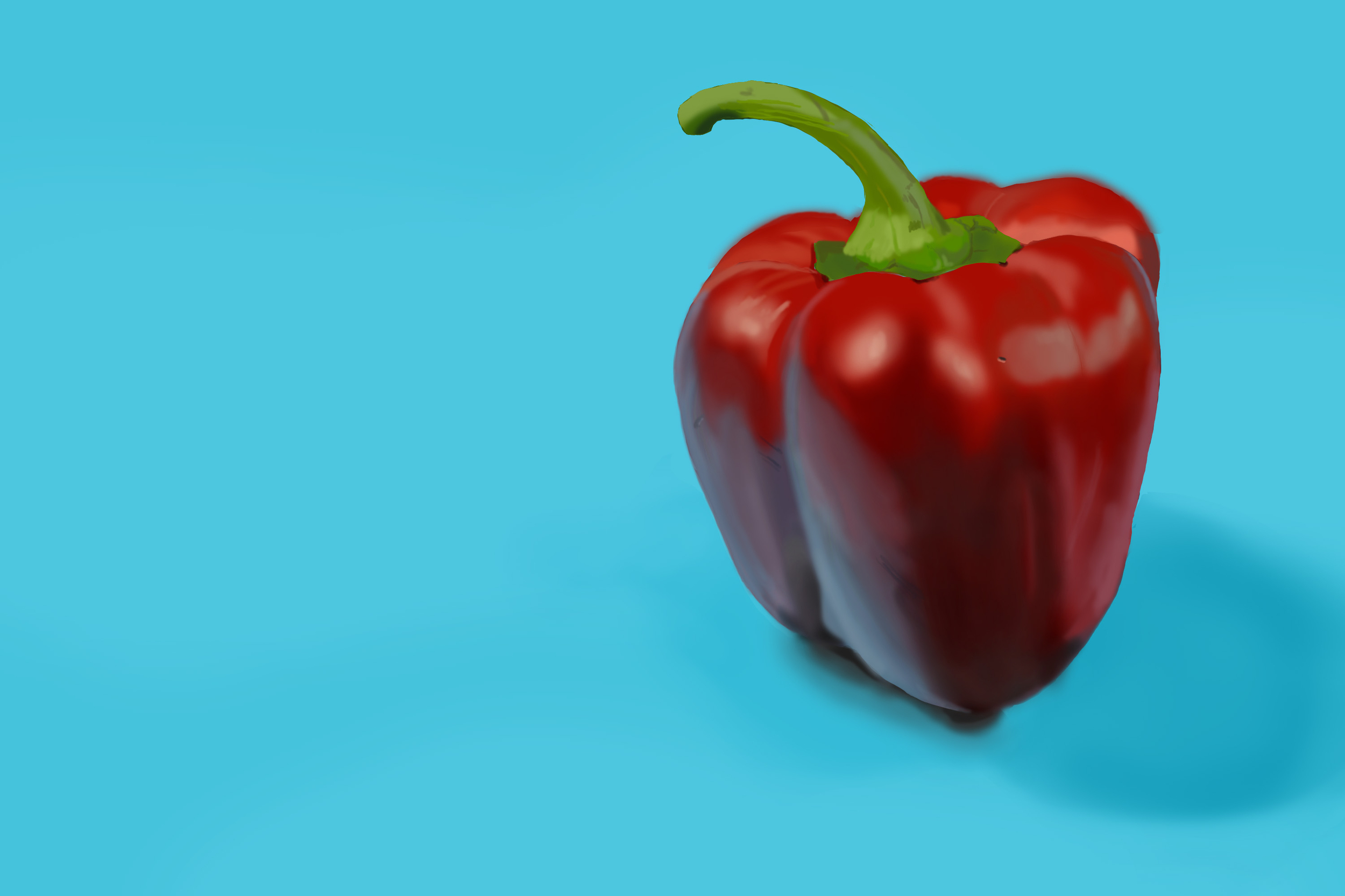 Exercice4-etude-photo1 copie.jpg