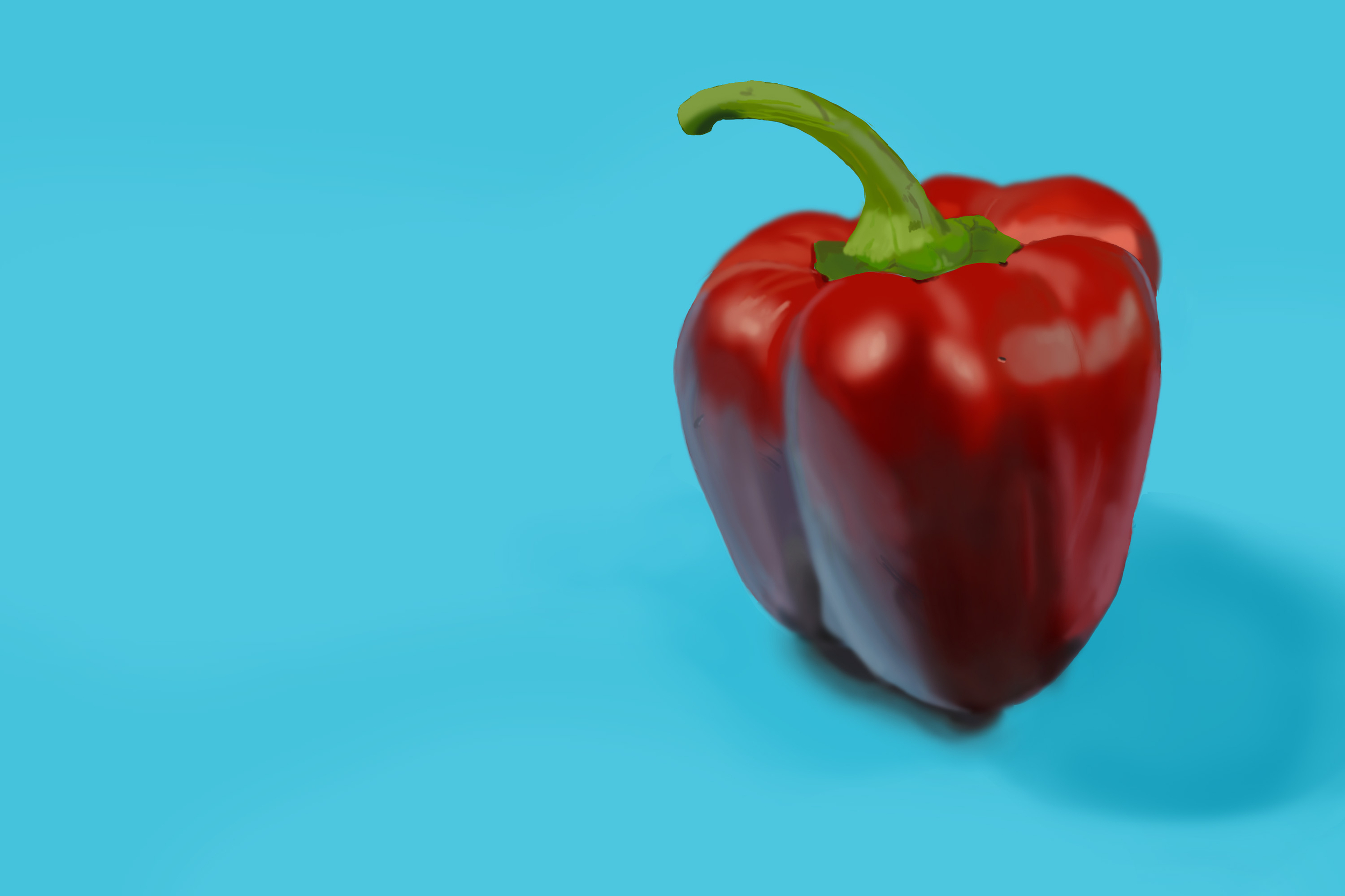 Exercice4-etude-photo1 copie.jpg