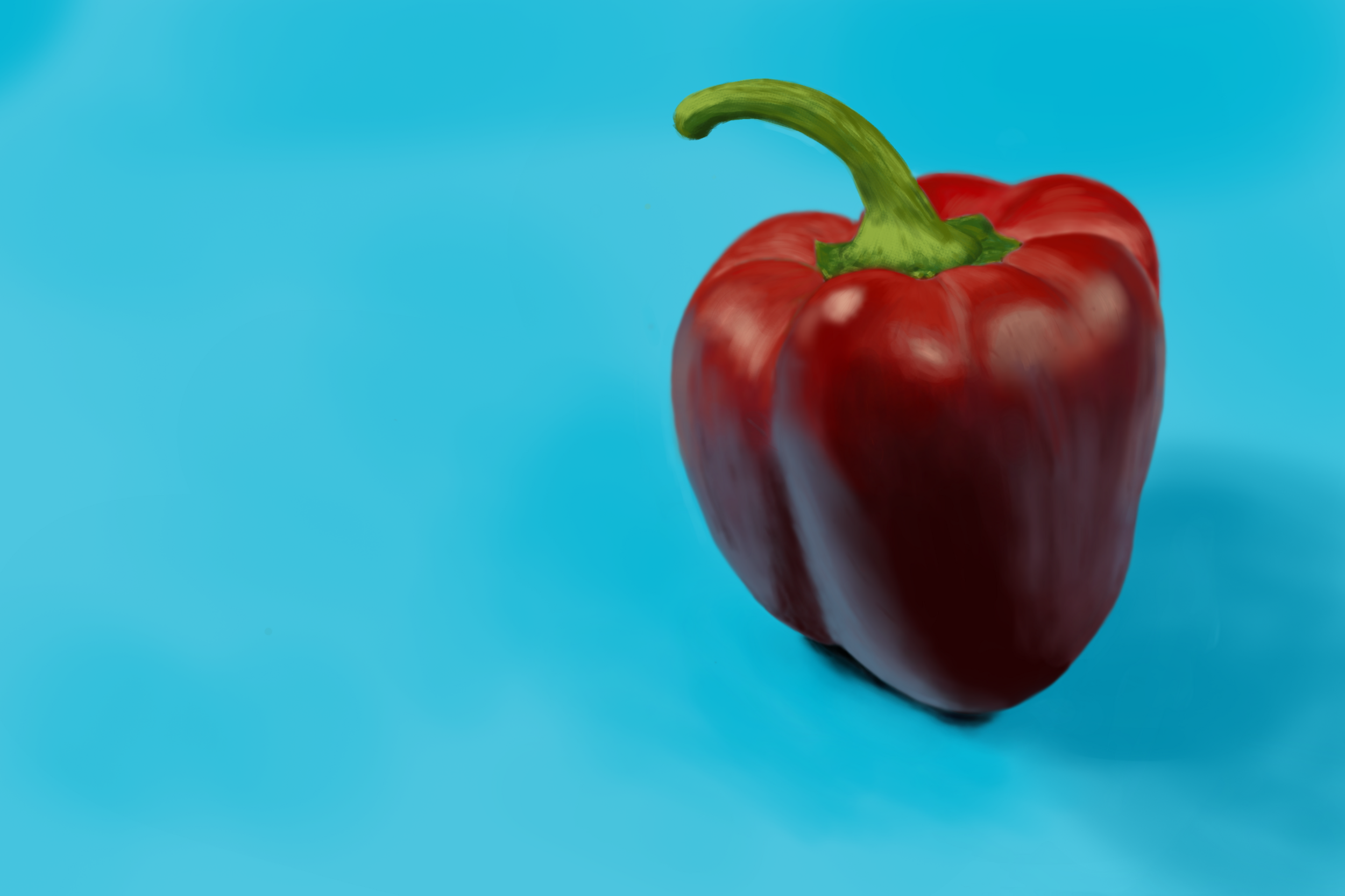 Exercice4-etude-photo top.png