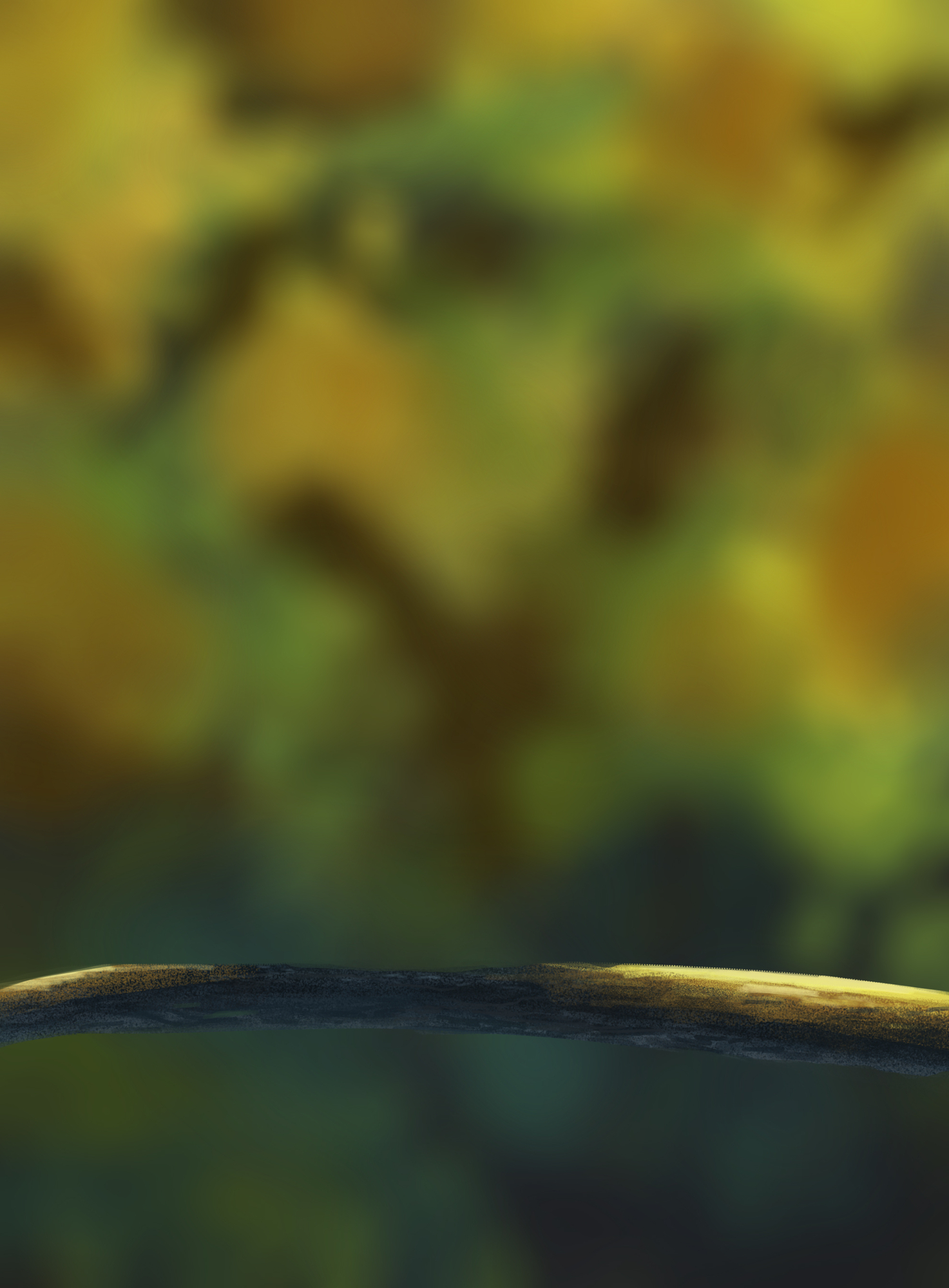 DPS Prog-1-1-Exercice5-Oiseau-Commencement copie.jpg