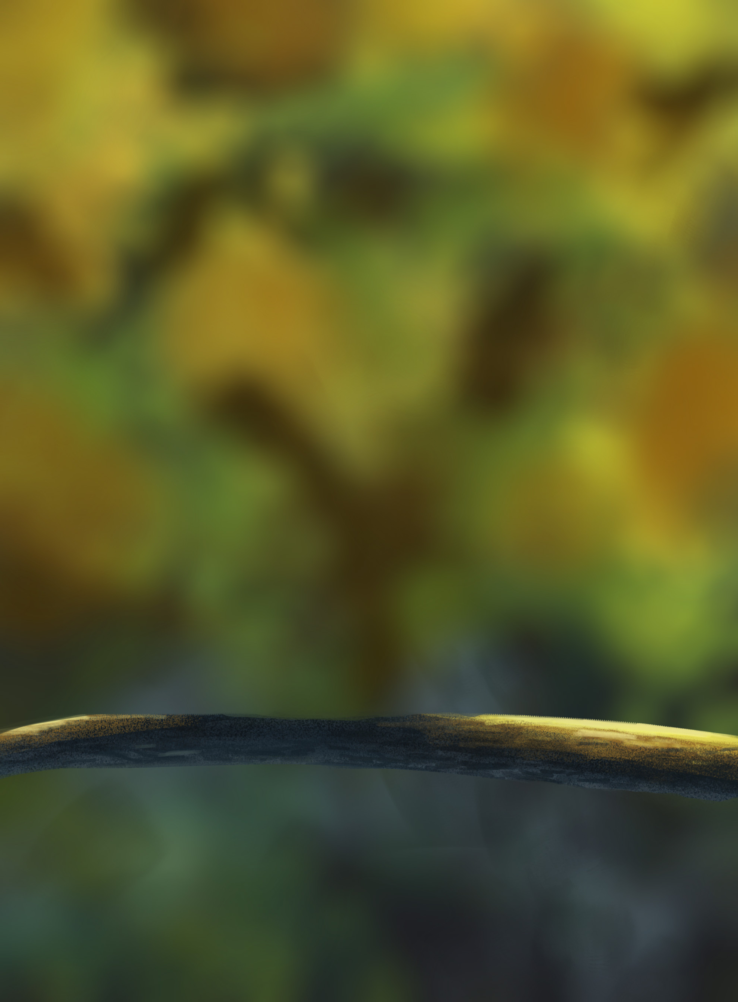 DPS Prog-1-1-Exercice5-Oiseau-Commencement copie.jpg