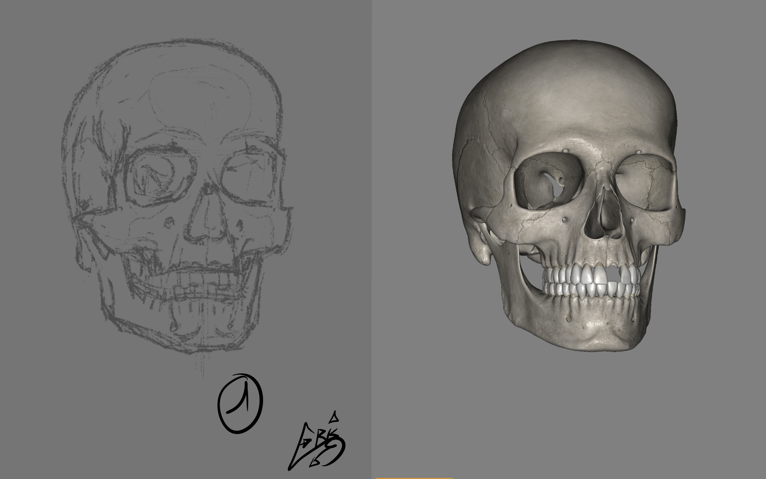 DPS_Exercice01_02_04_Crane_Croquis1 (20240607051413).png