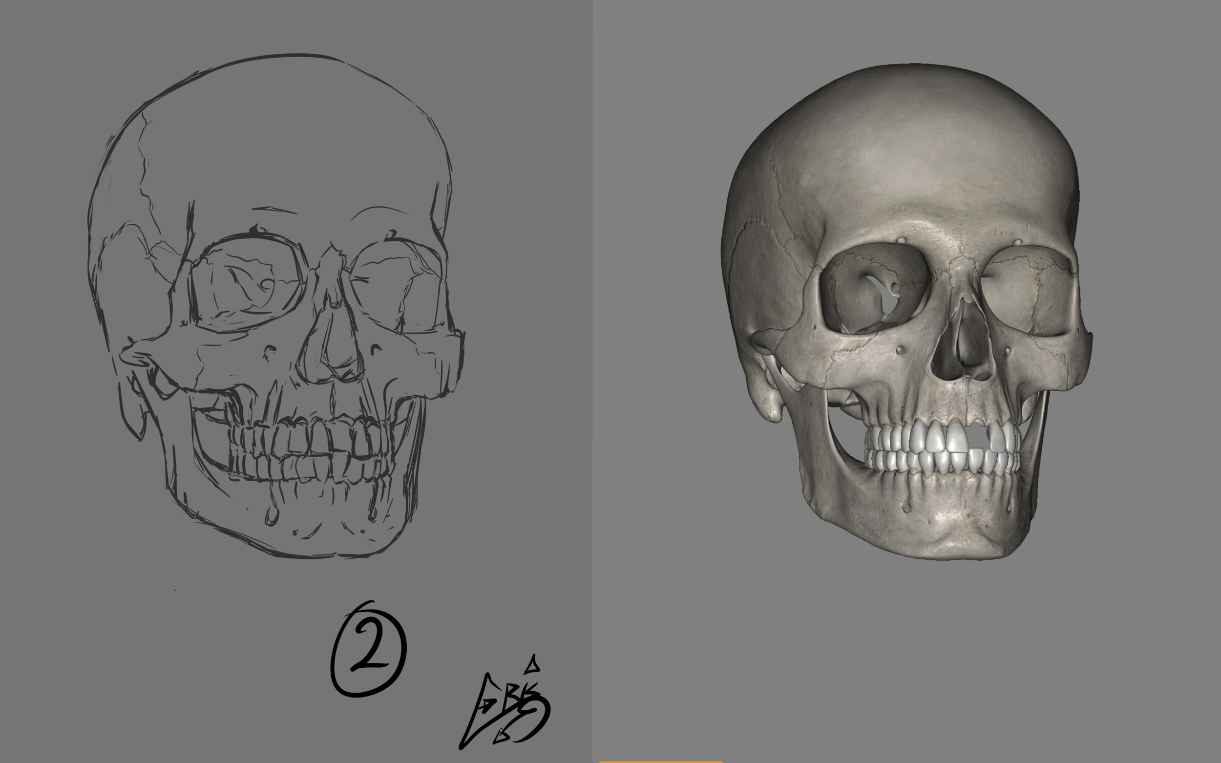 DPS_Exercice01_02_04_Crane_Croquis2 (20240607051439).png