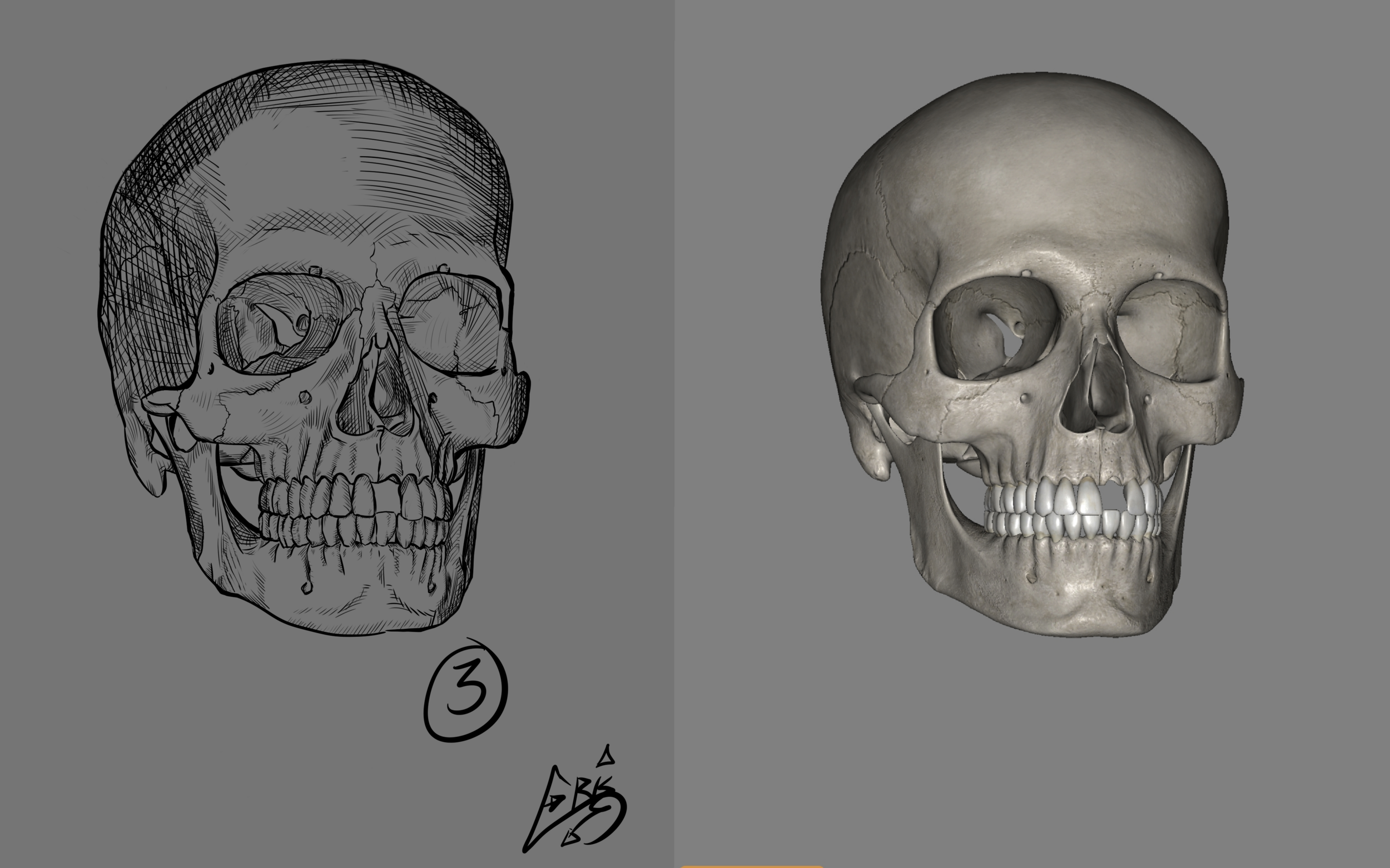 DPS_Exercice01_02_04_Crane_CroquisFinal (20240607051521).png