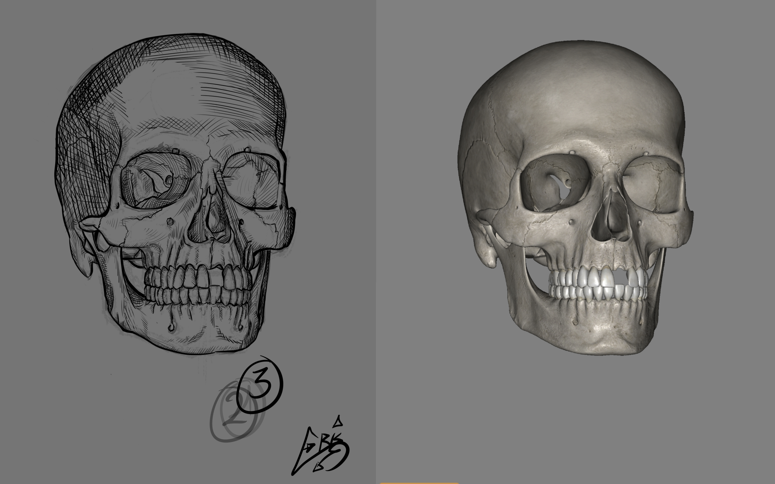 DPS_Exercice01_02_04_Crane_CroquisSuperposition (20240607051611).png