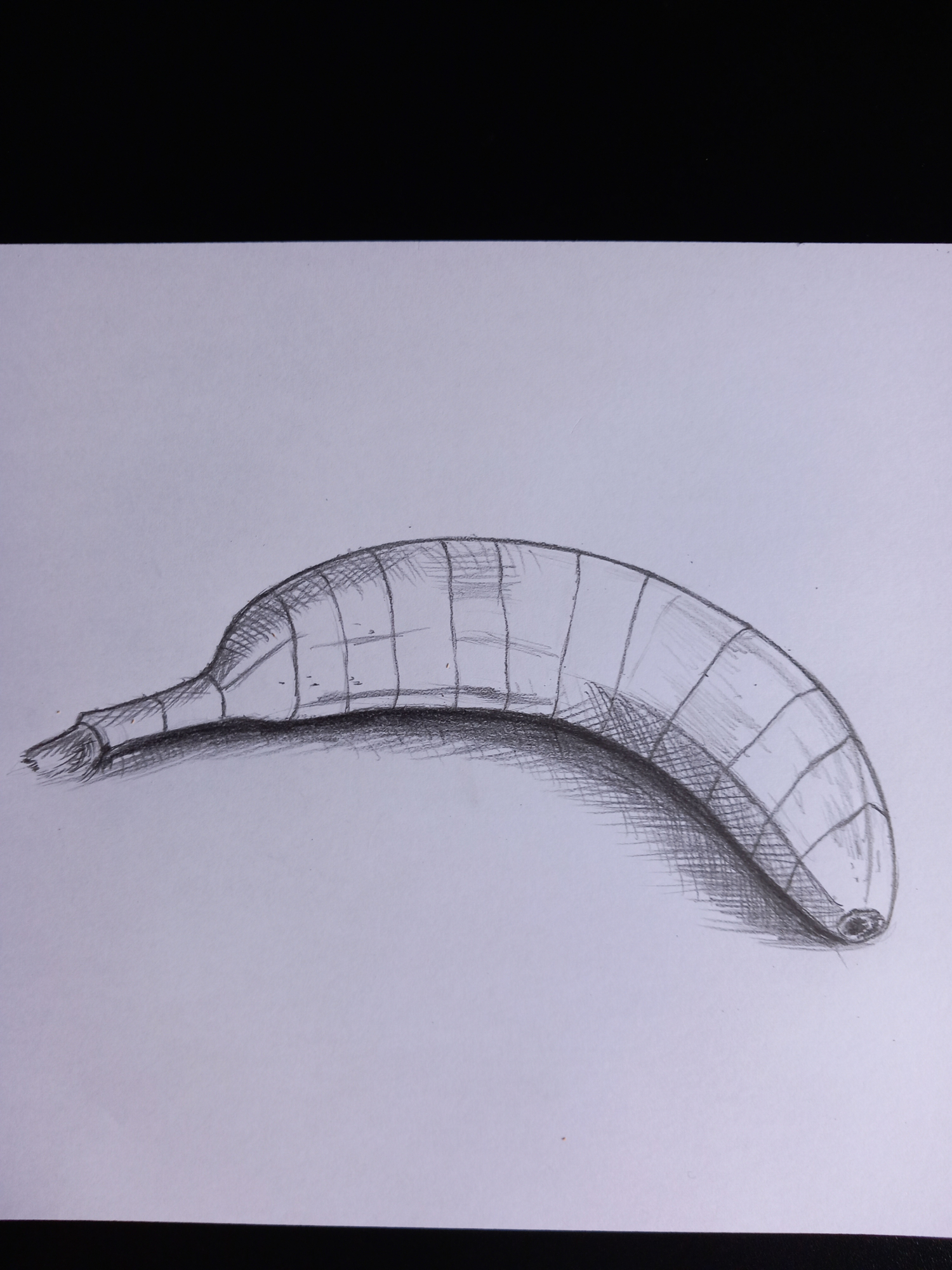 DPS exo 4 chap 1.jpg