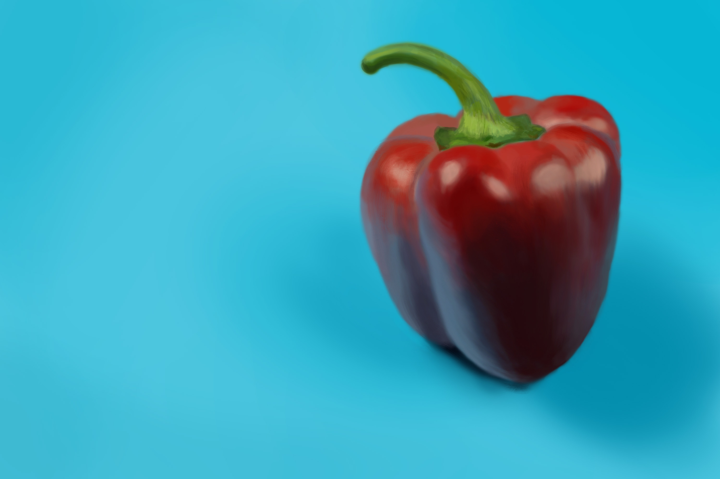 Exercice4-etude-photo1 copie.jpg