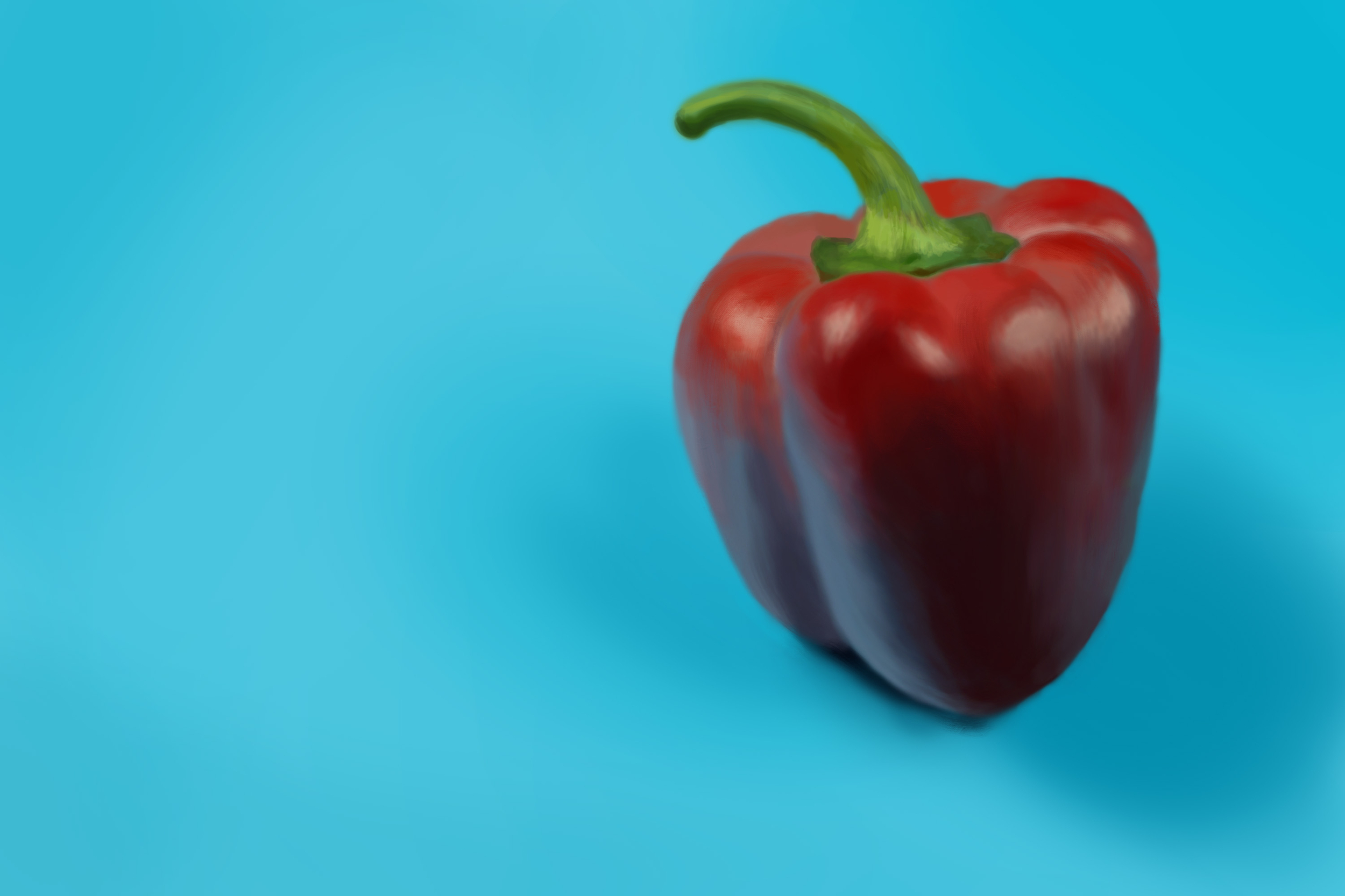 Exercice4-etude-photo1 copie.jpg