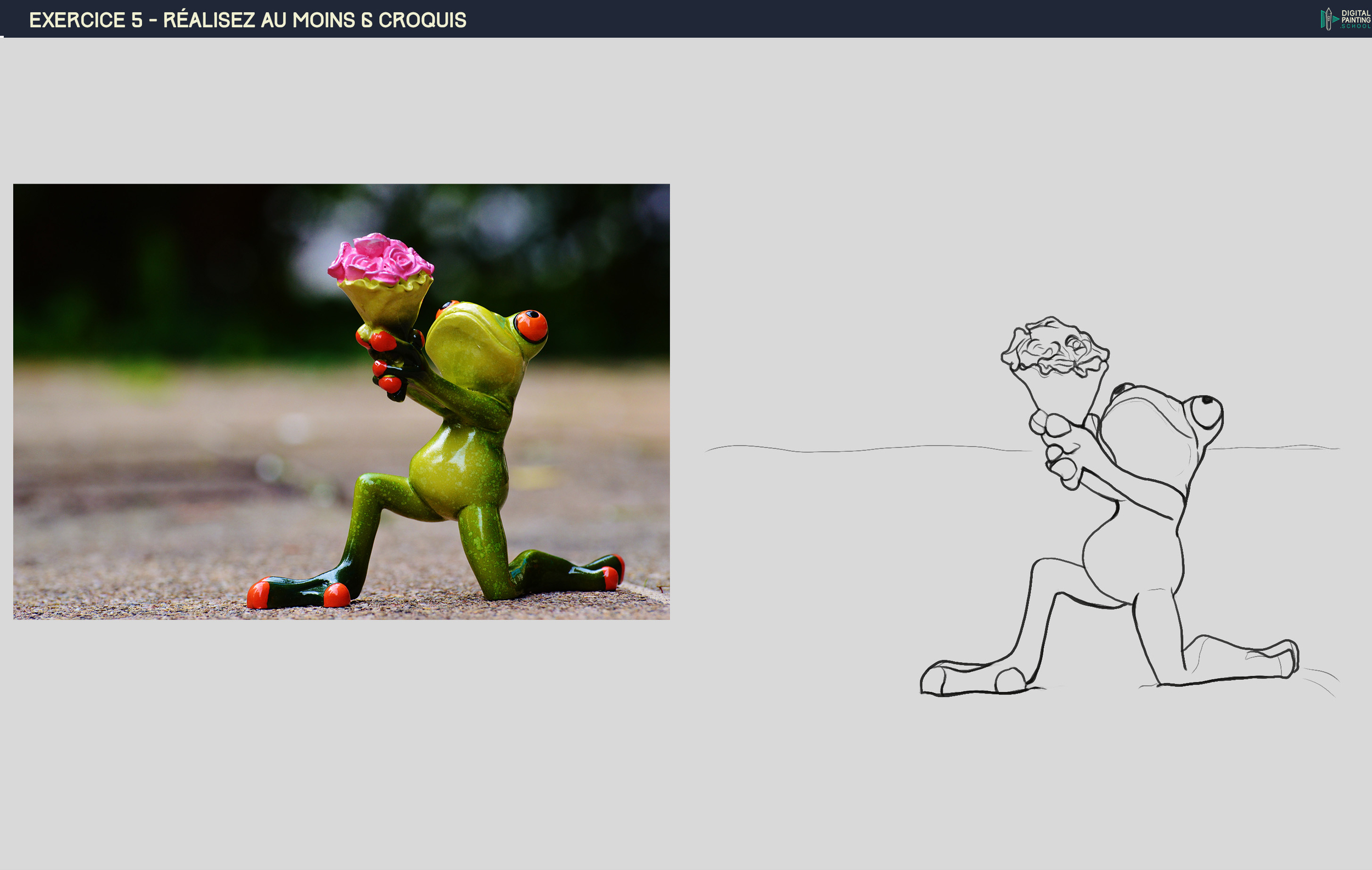 croquis grenouille.jpg