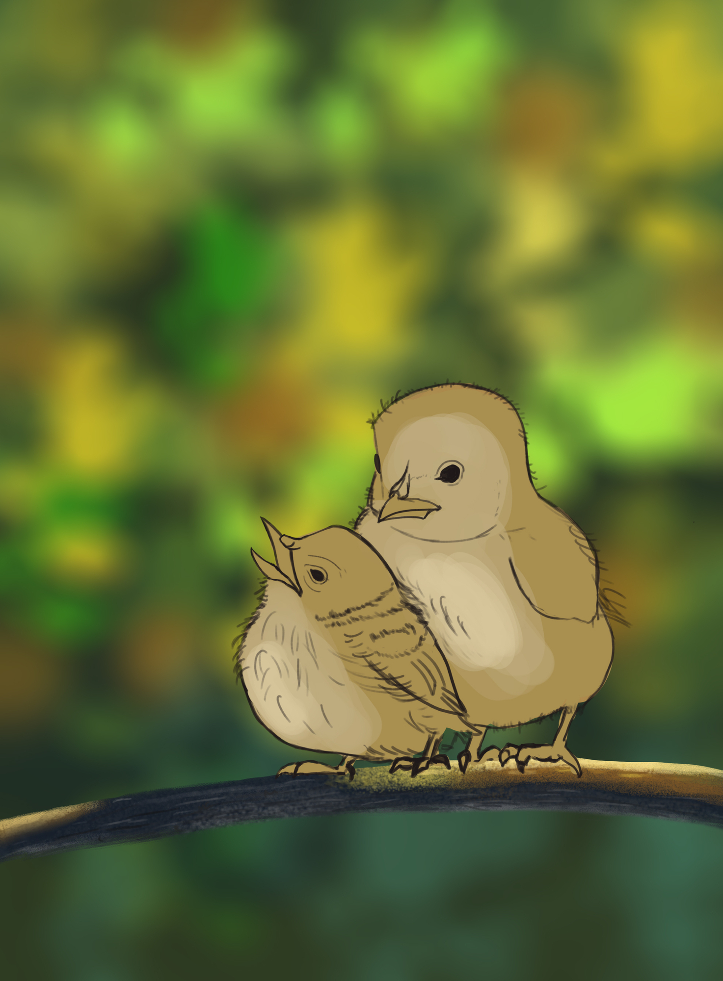 oiseau  couleur .jpg