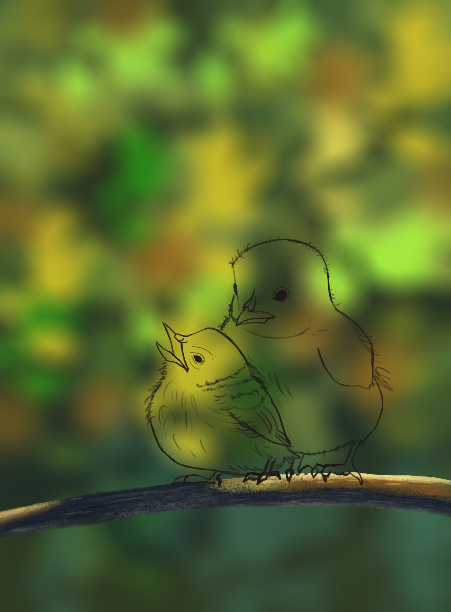 oiseau  croquis .jpg