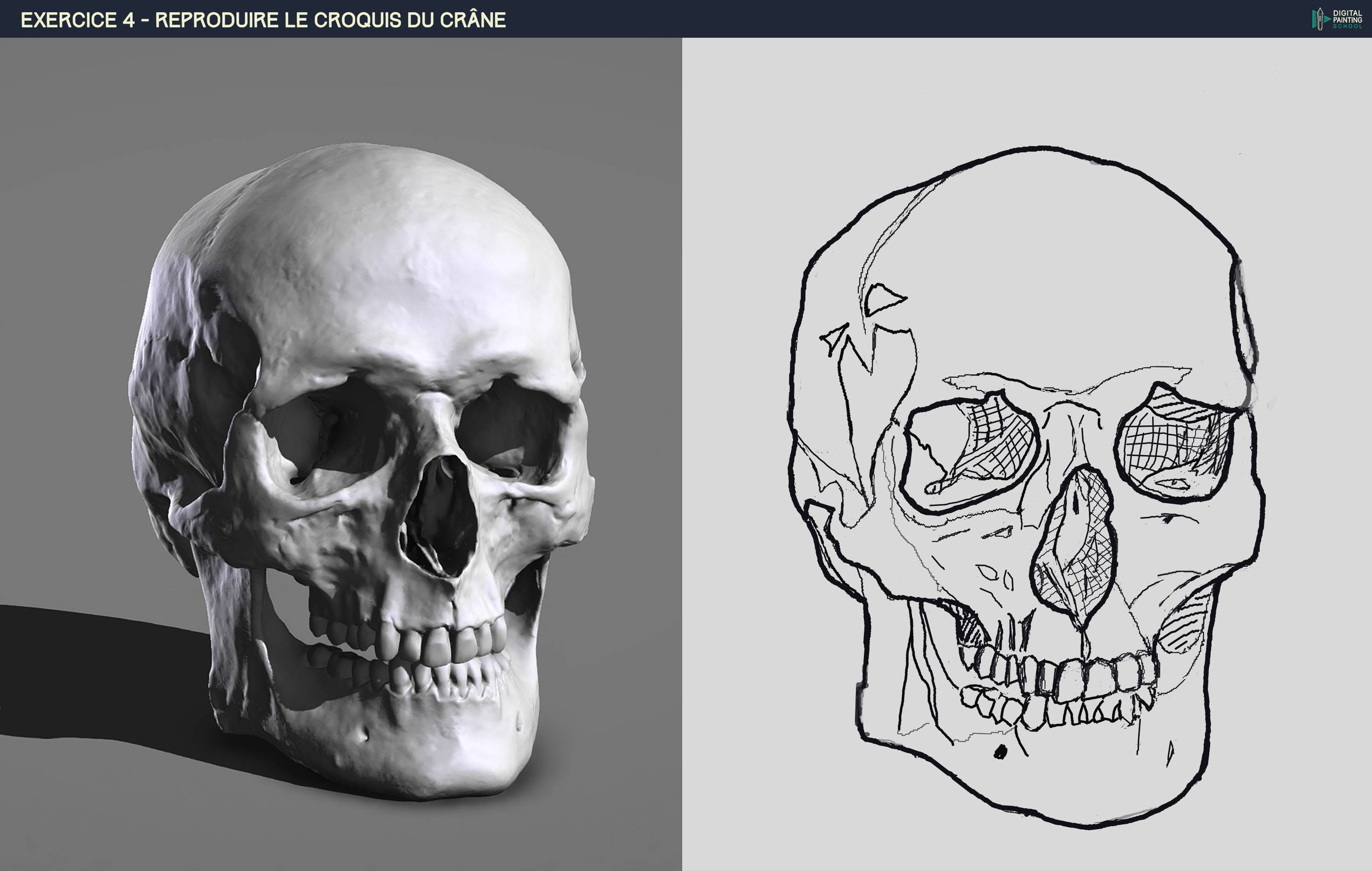 DPS-Prog-1-2-2-démo-crane-croquis N1.jpg