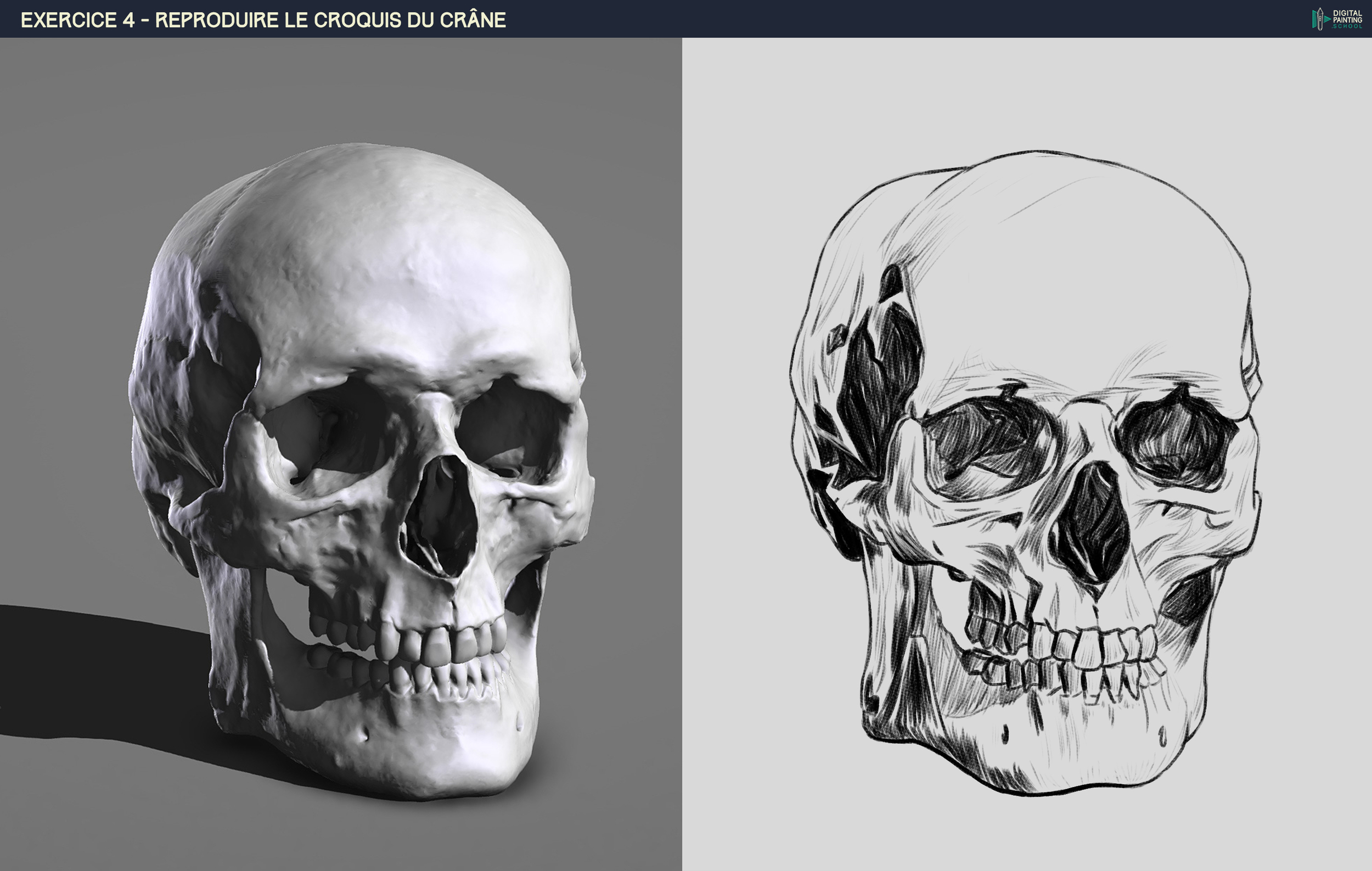 DPS-Prog-1-2-2-démo-crane-croquis fait.jpg