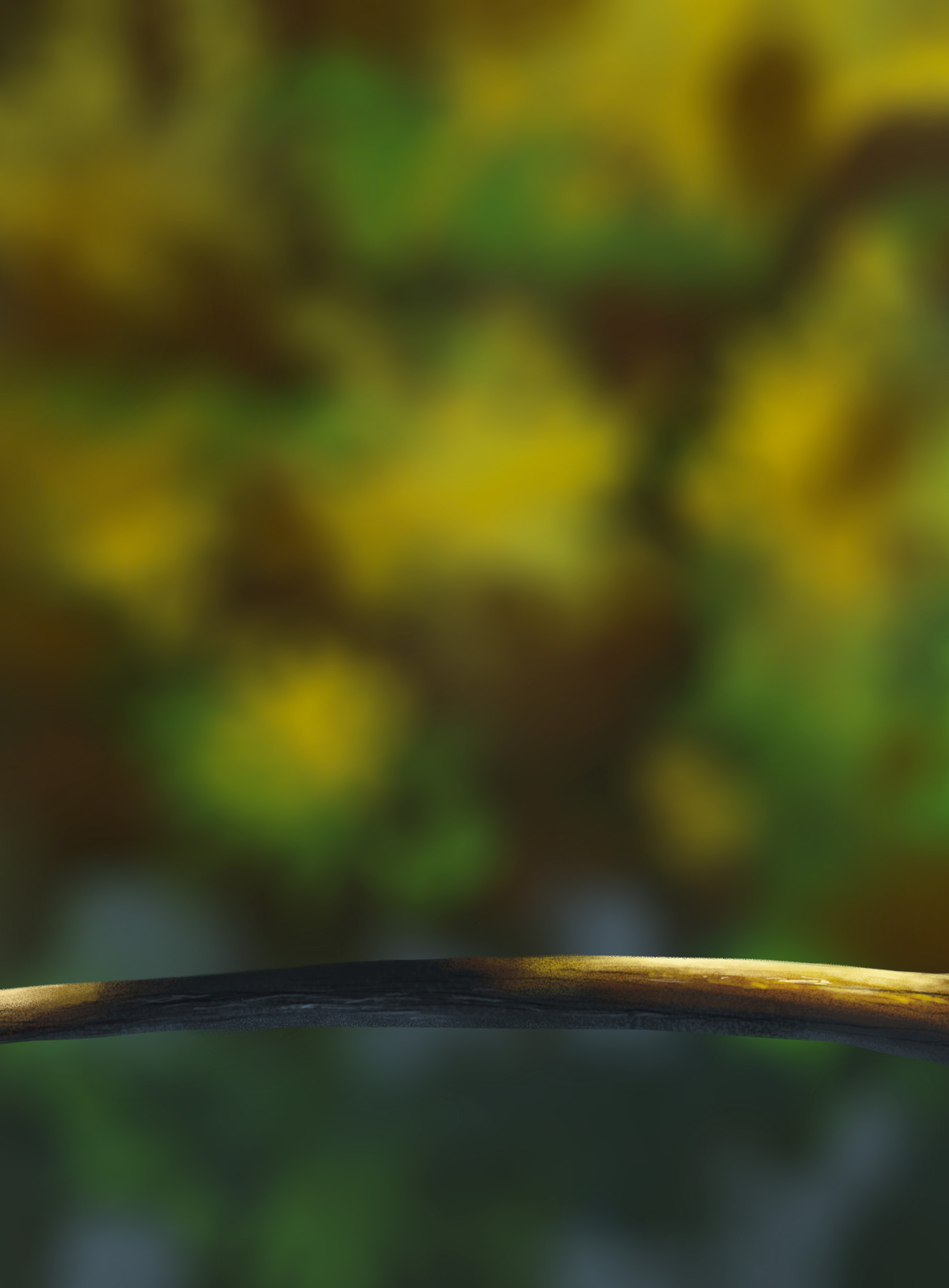 DPS Prog-1-1-Exercice5-Oiseau-Commencement Nyria.jpg