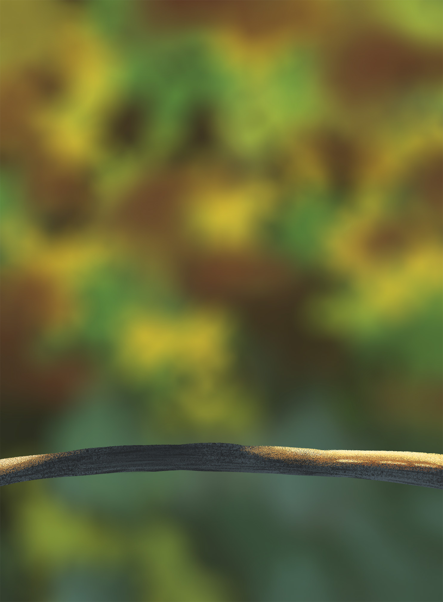 DPS Prog-1-1-Exercice5-Oiseau-Commencement_wena.jpg