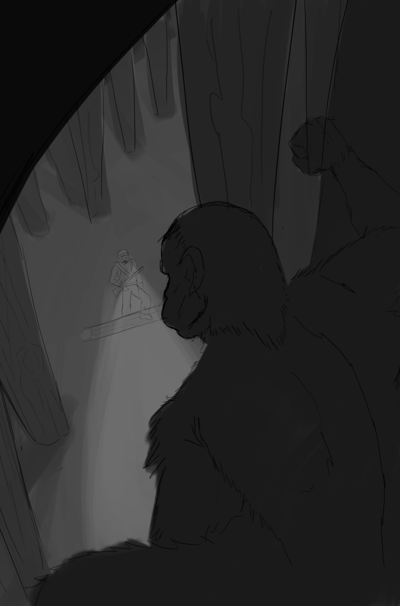 DPs dimagination.jpg