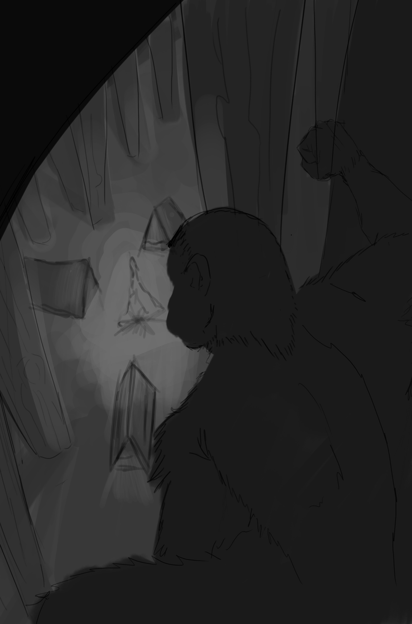 DPs dimagination mofication tentes.jpg