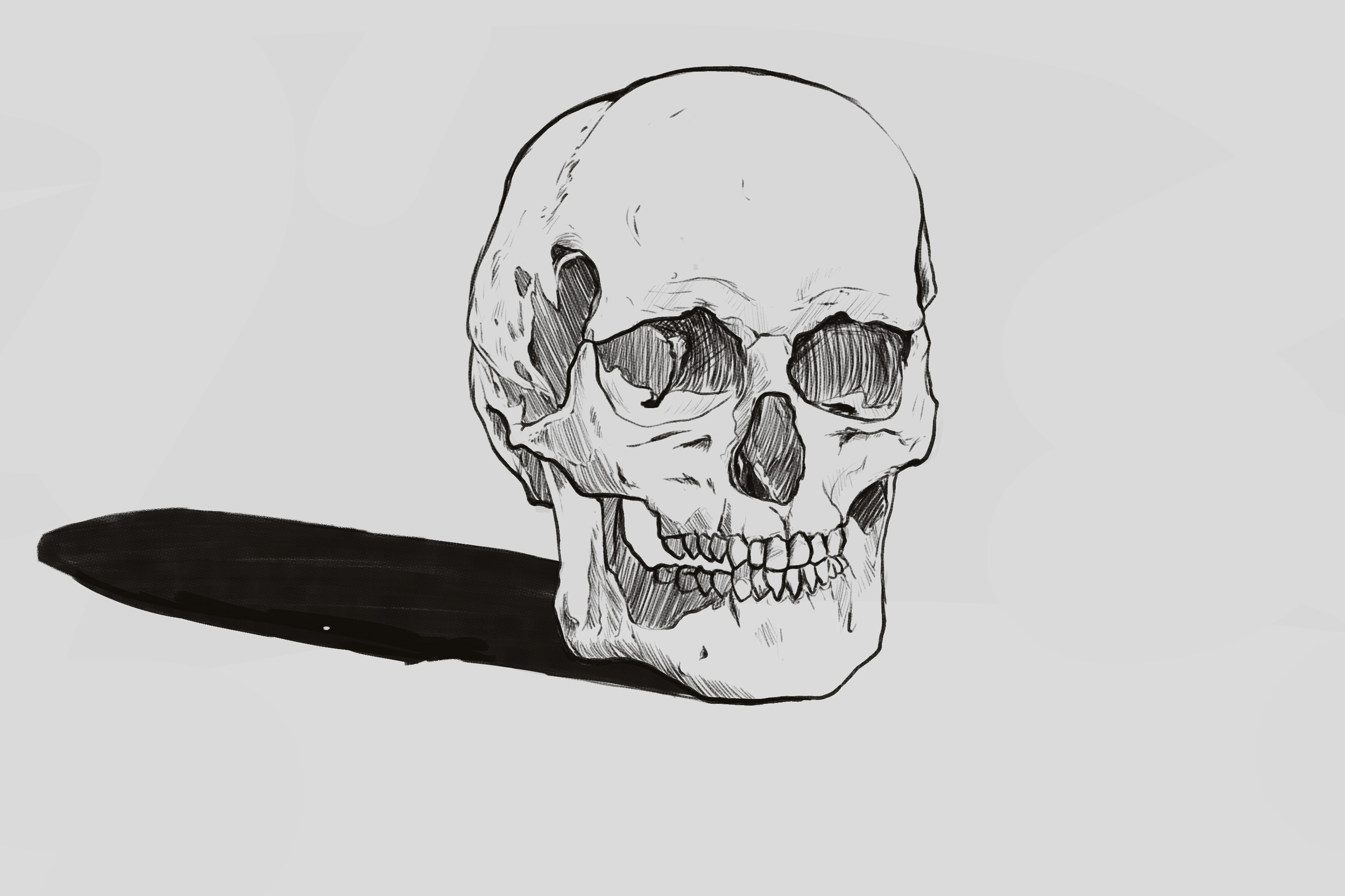 crane croquis nyria.jpg