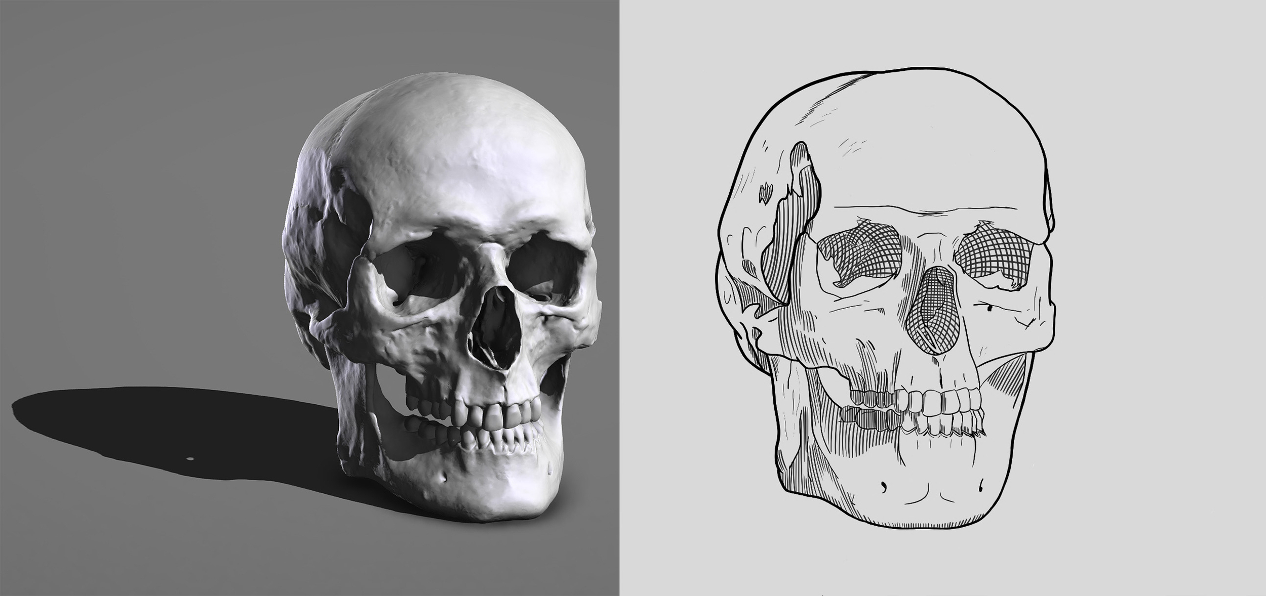 crâne - Copie - Copie copie.jpg