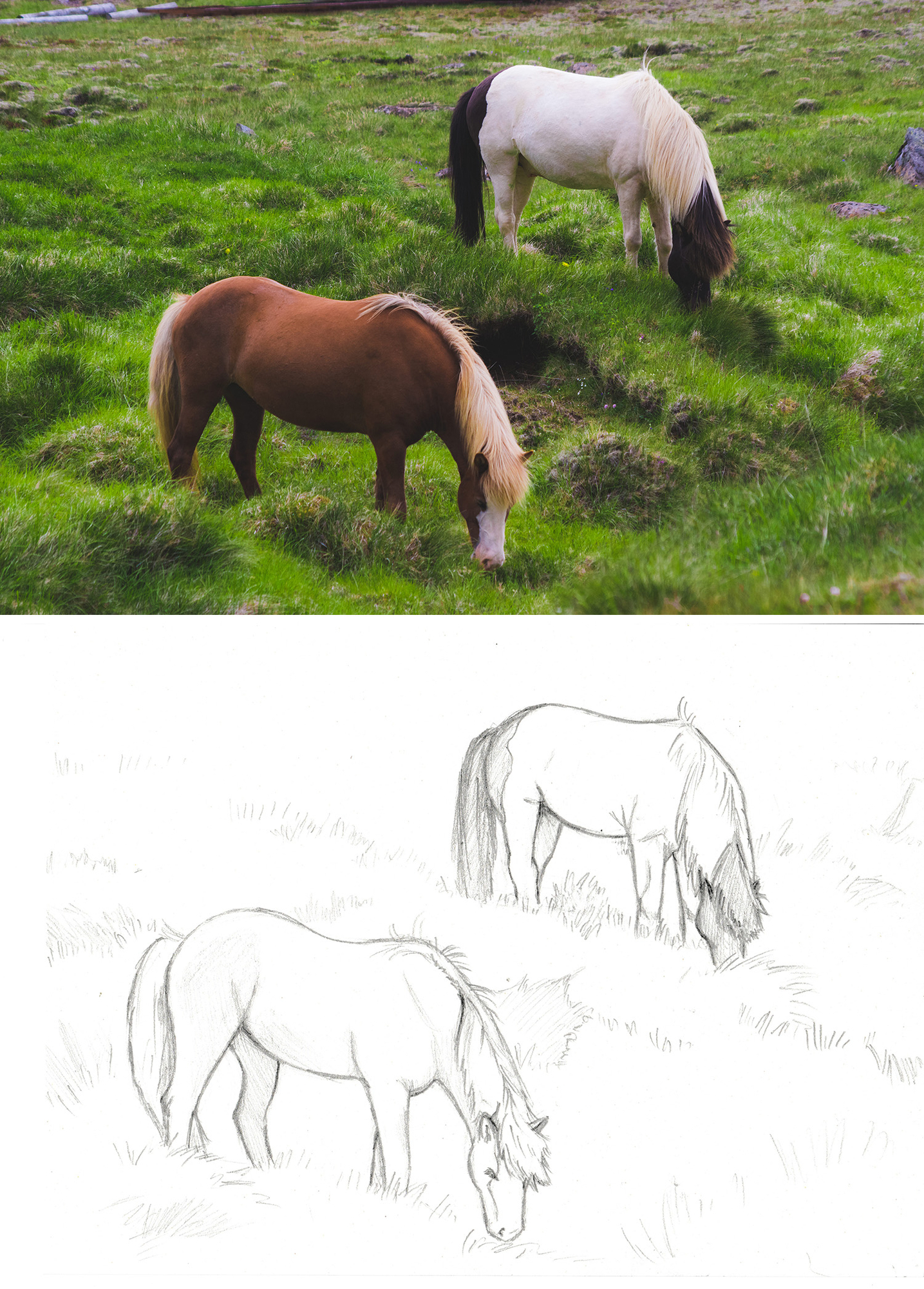exo-croquis-chevaux.thumb.jpg.d4c6e8b25ce17b4d442cb20eb429e1f9.jpg