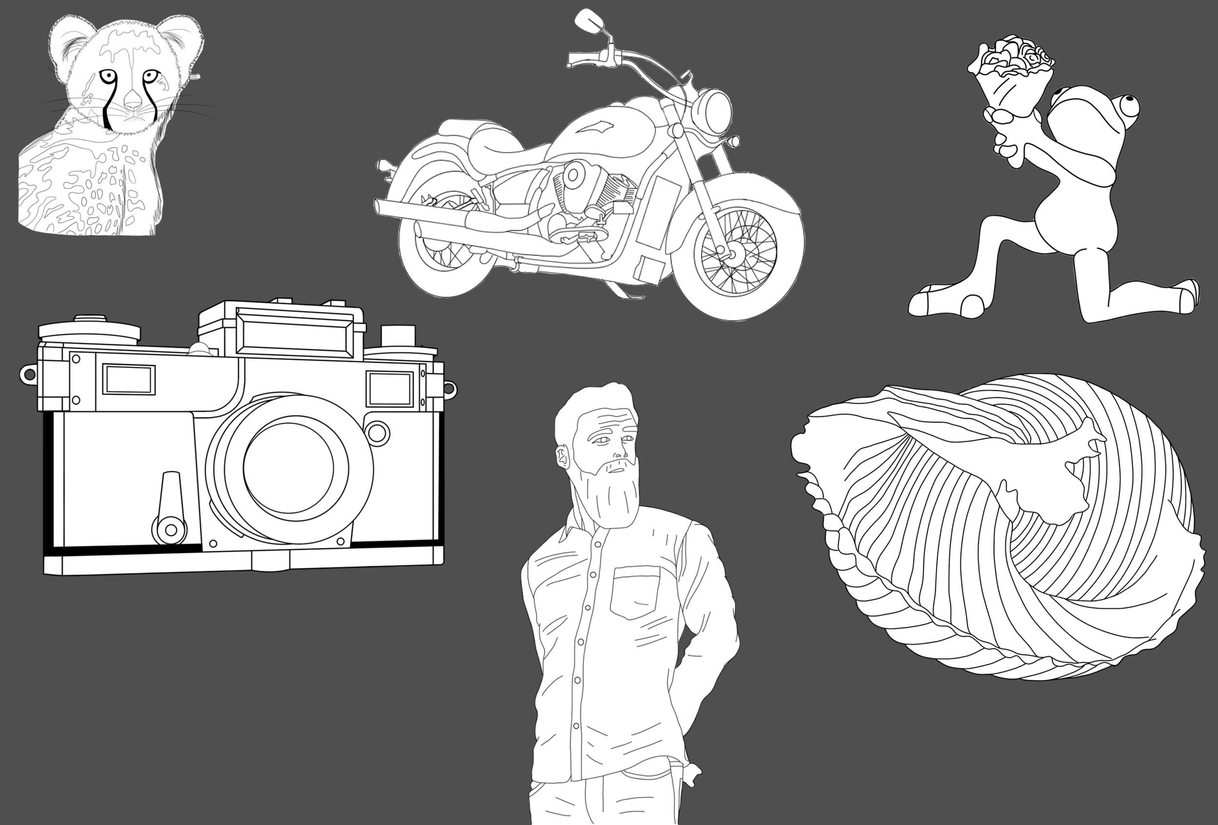 photo tout copie.jpg ².jpg