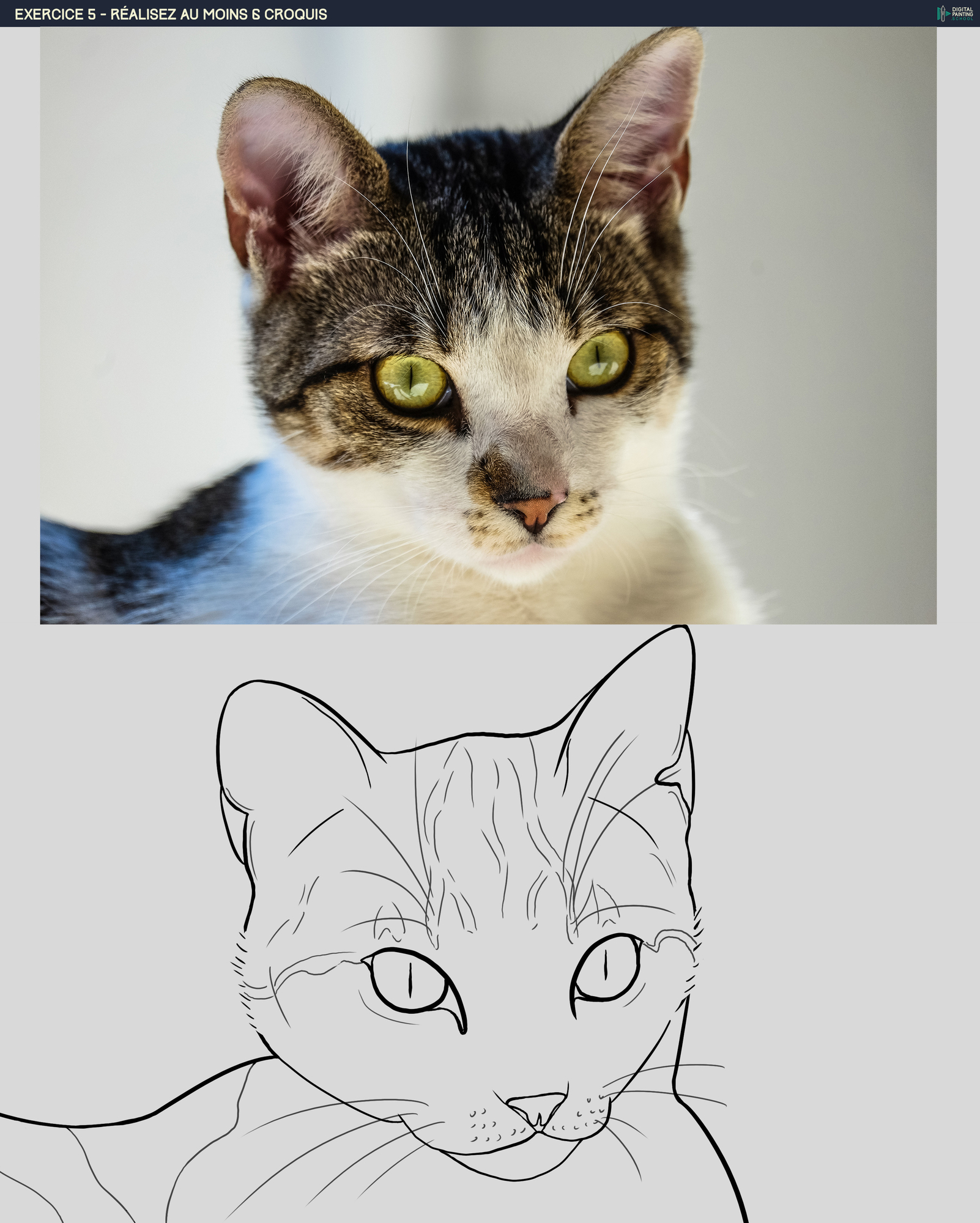 DPS-Prog-1-2-exercice5 chat.jpg