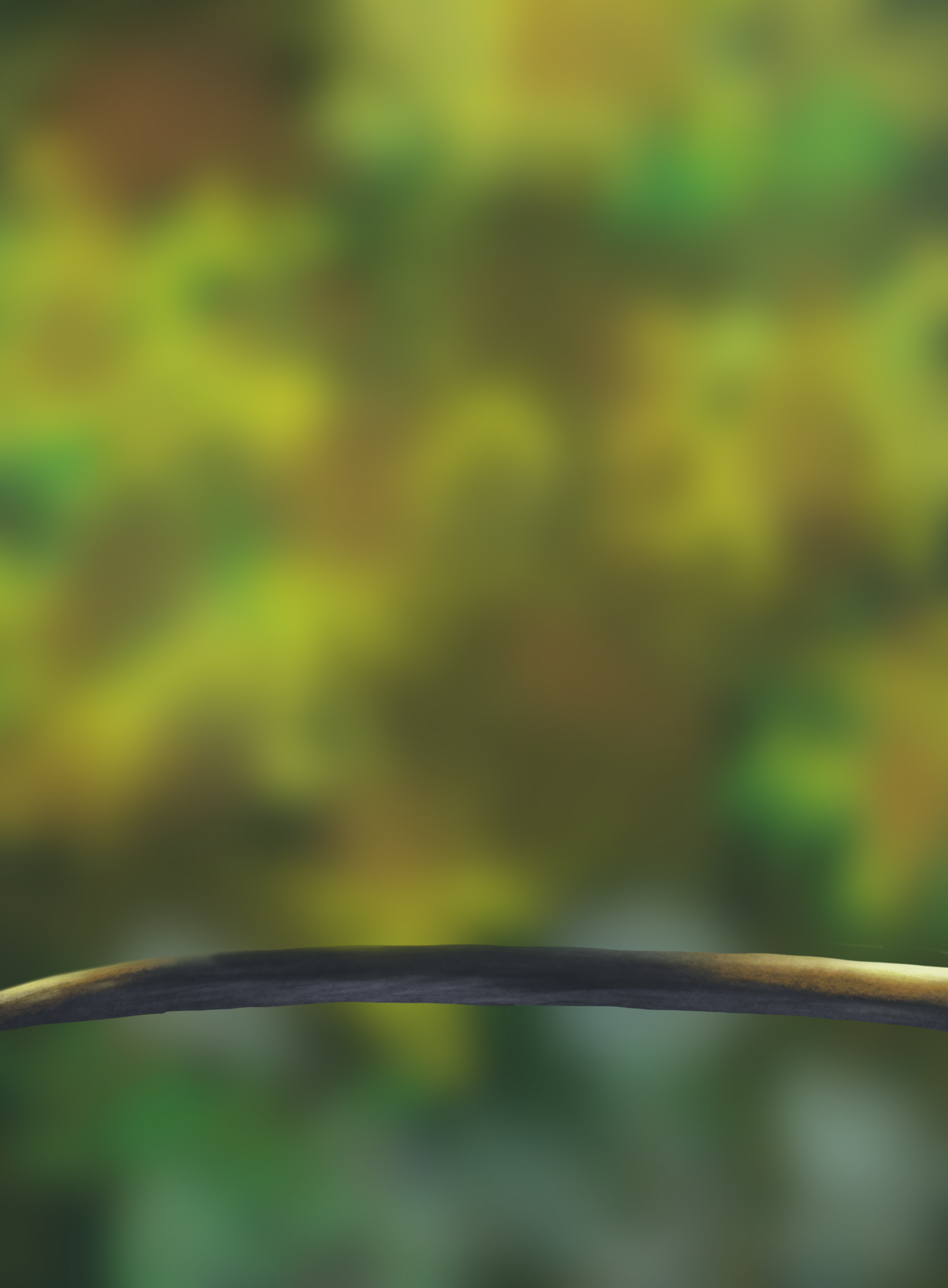 DPS Prog-1-1-Exercice5-Oiseau-Commencement.png