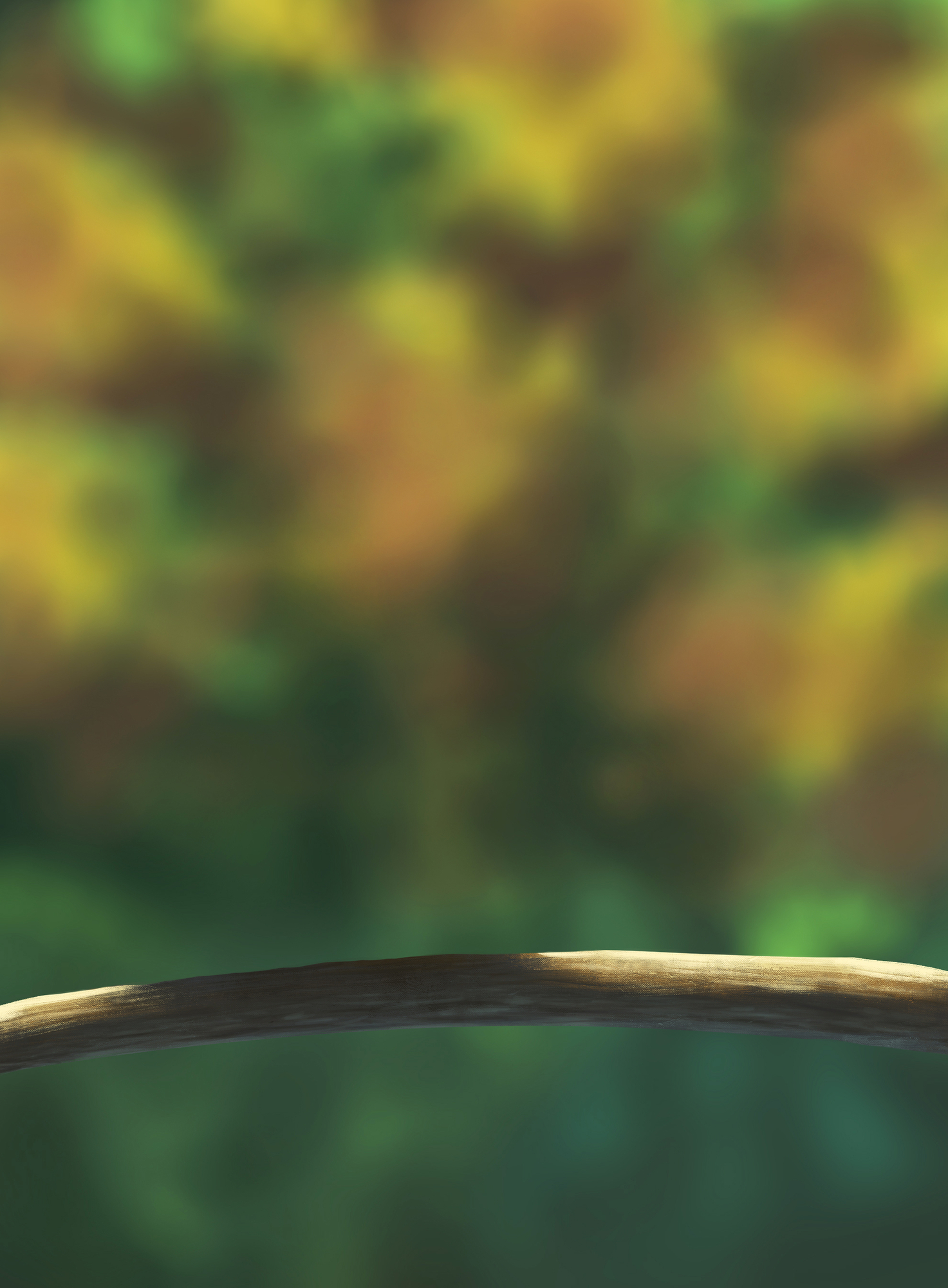 DPS Prog-1-1-Exercice5-Oiseau-Commencement Prys.jpg