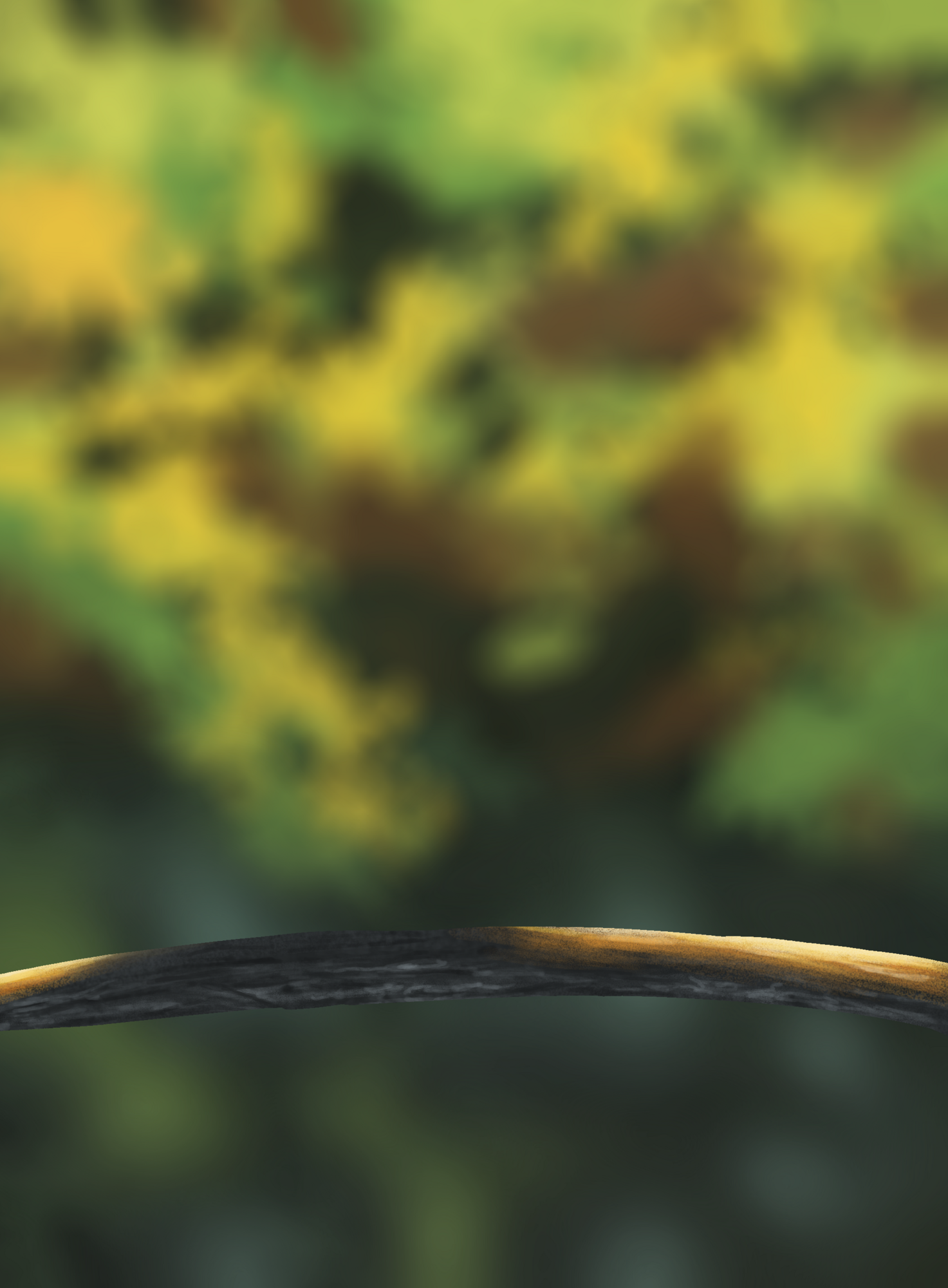 DPS Prog-1-1-Exercice5-Oiseau-Commencement_bis.png