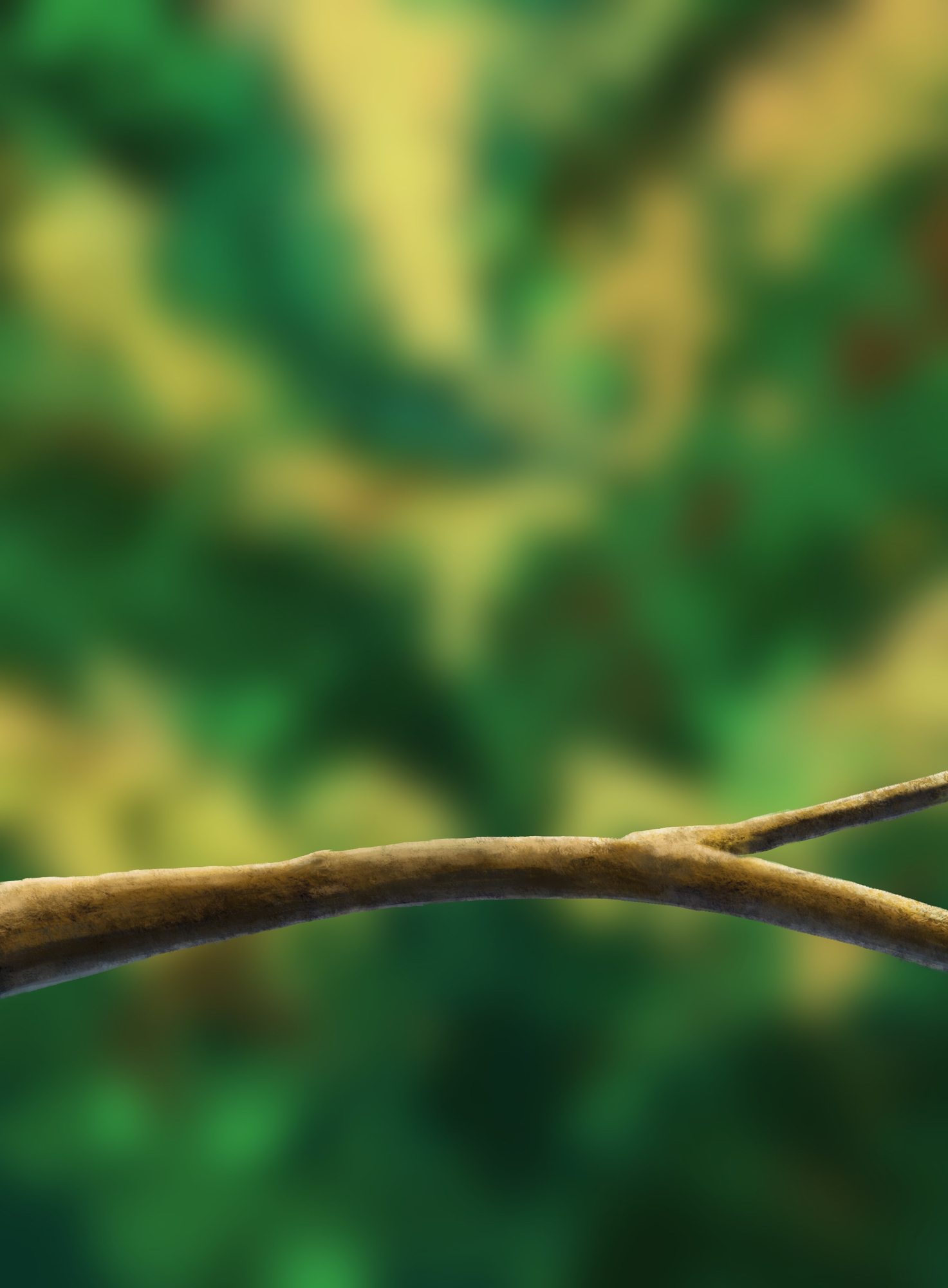 Illustration_sans_titre (1).jpg