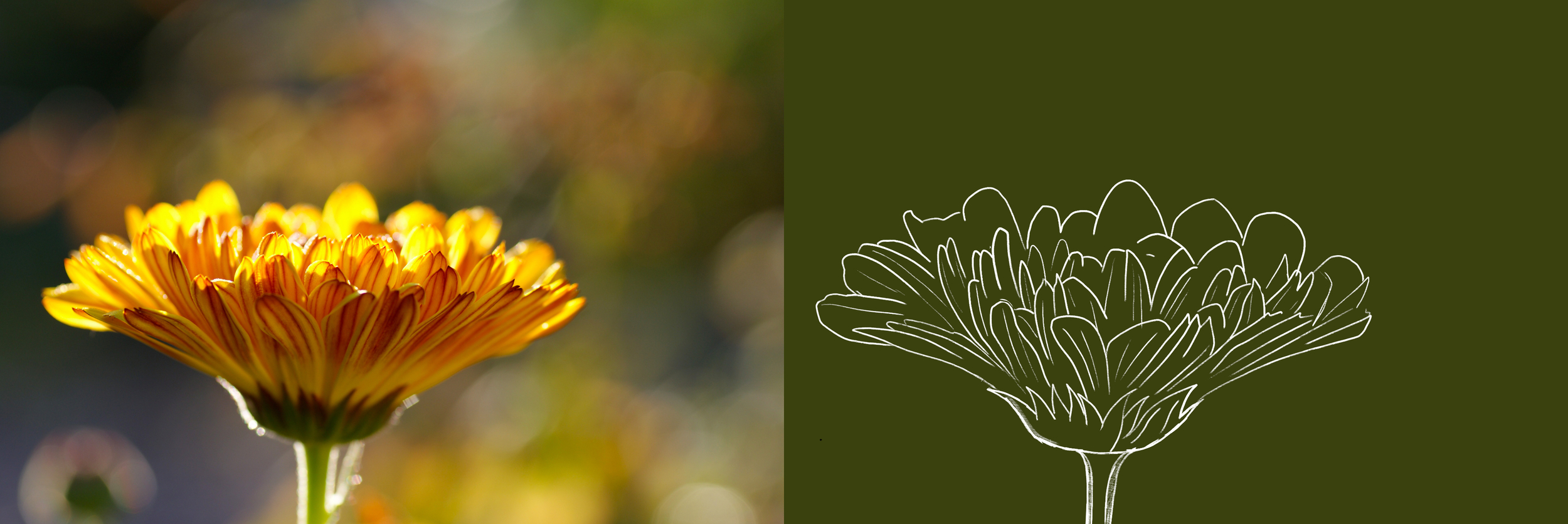 Plan de travail 1.jpg