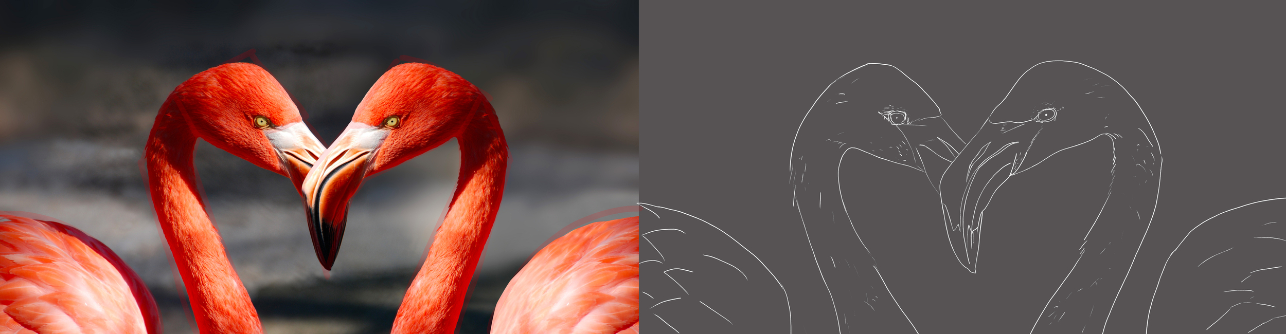 Plan de travail 2.jpg