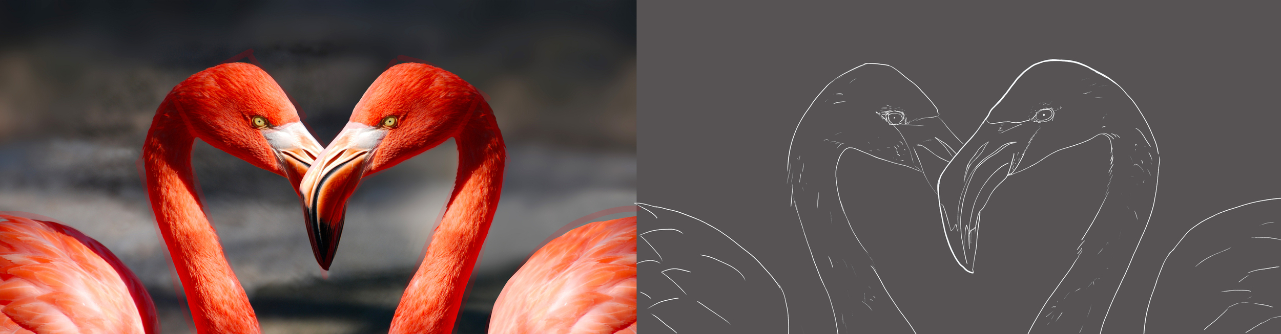 Plan de travail 2.jpg