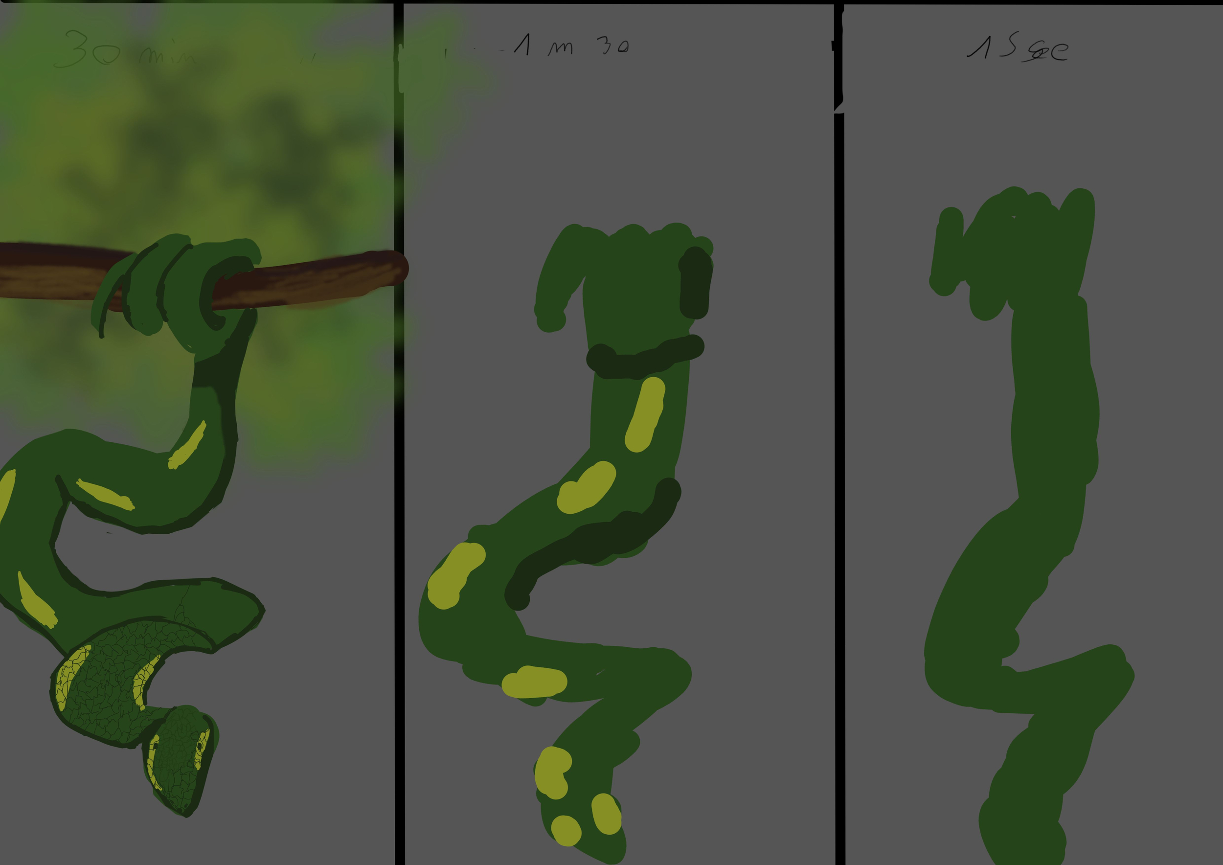 course rapidité.jpg