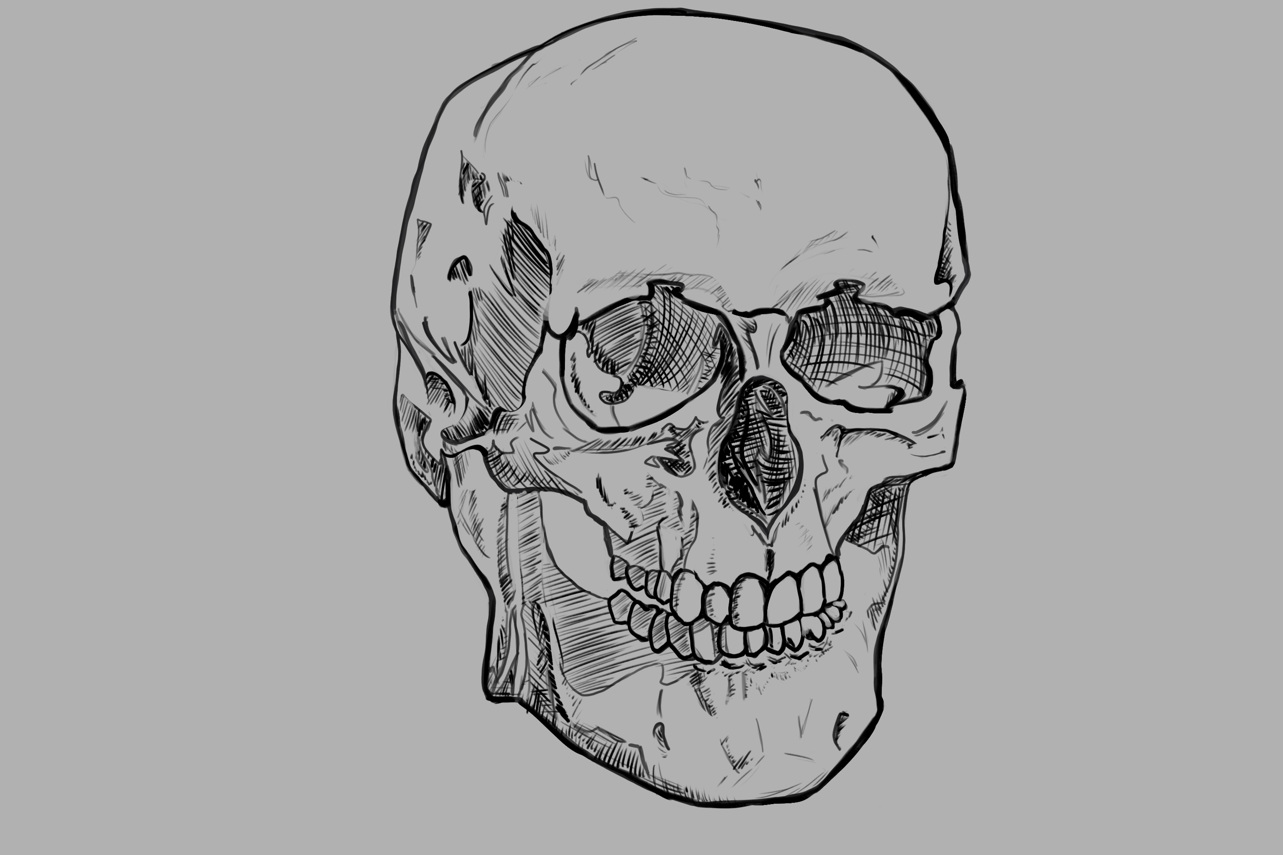 crane 2 avec hachurage.jpg