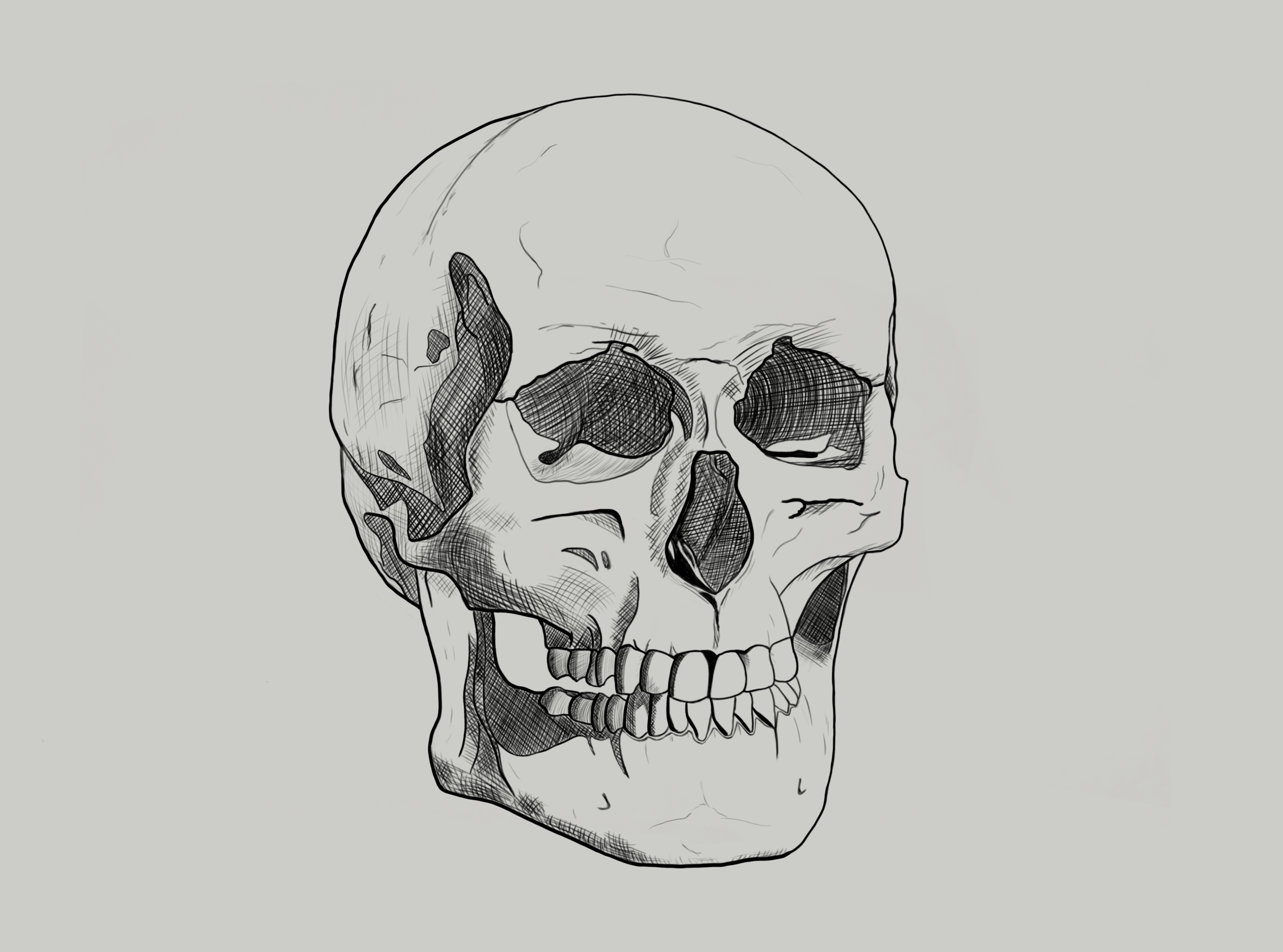 croquis bibifinal2.png